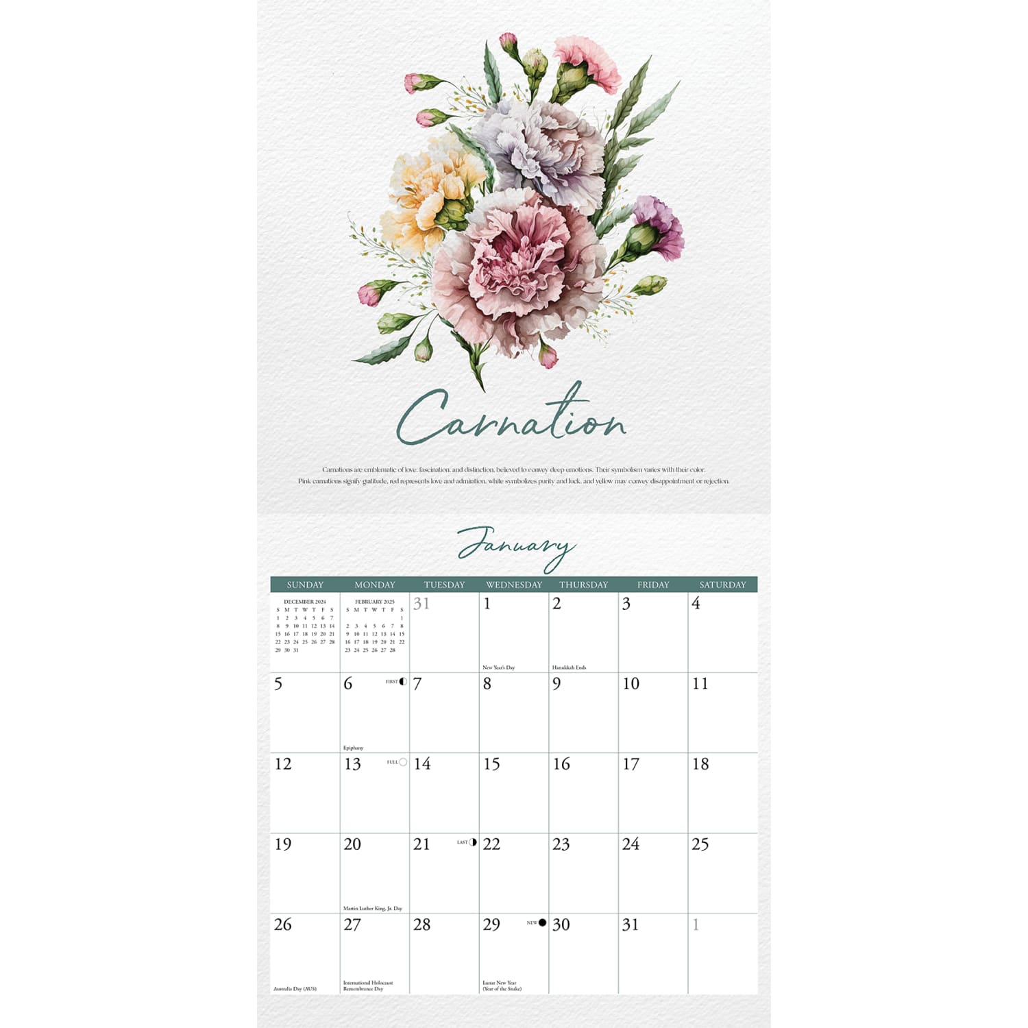 2025 Willow Creek Press Monthly Wall Calendar, 12in x 12in, Birth Flowers, January To December 2025 - Image 3