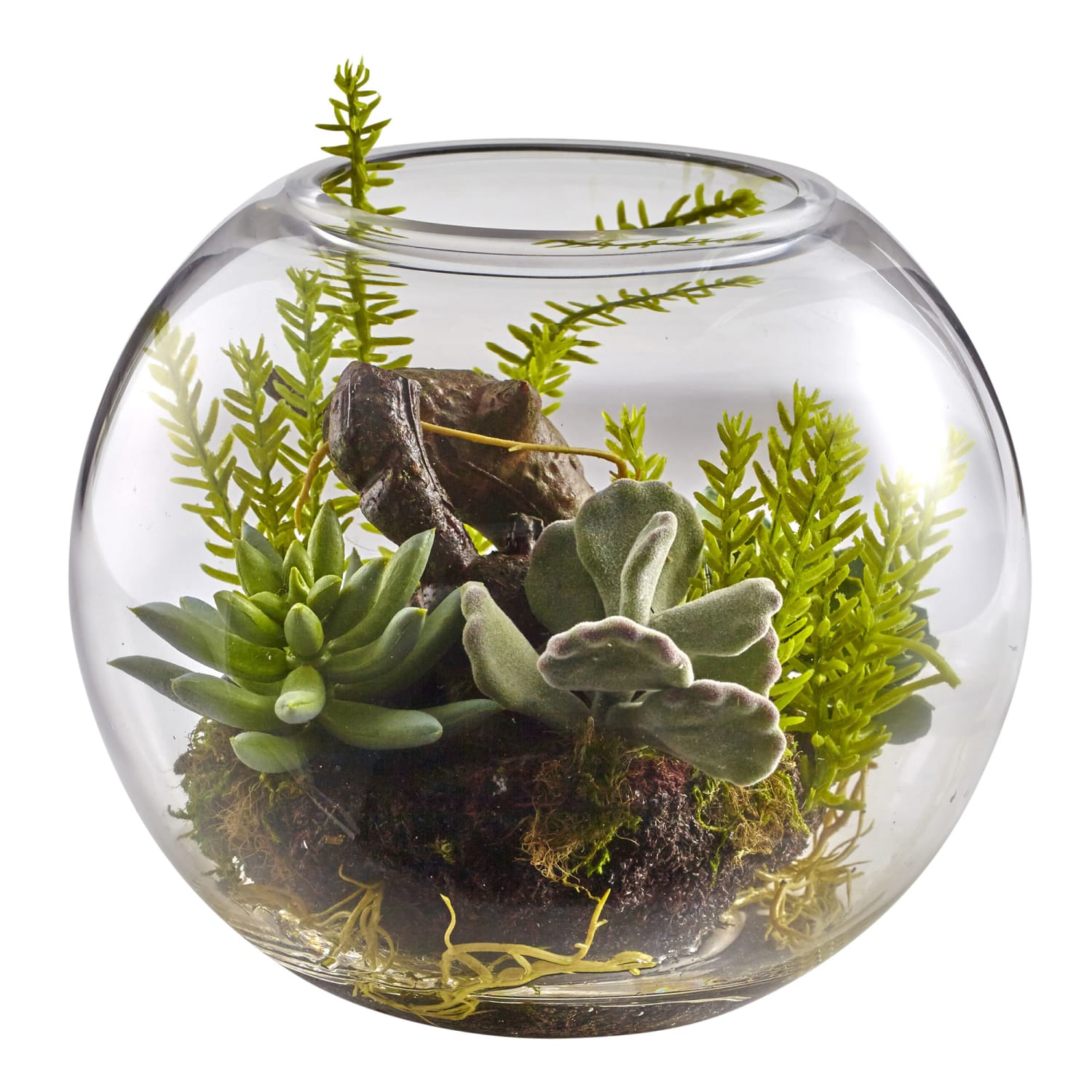 Nearly Natural Mixed Succulents 6-1/2inH Plastic Garden With Glass Vase, 6-1/2inH x 8inW x 8inD, Green - Image 4