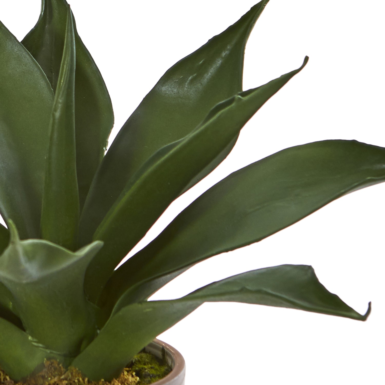 Nearly Natural Agave Succulent 14inH Plastic Plant With Decorative Planter, 14inH x 9inW x 9inD, Green - Image 3