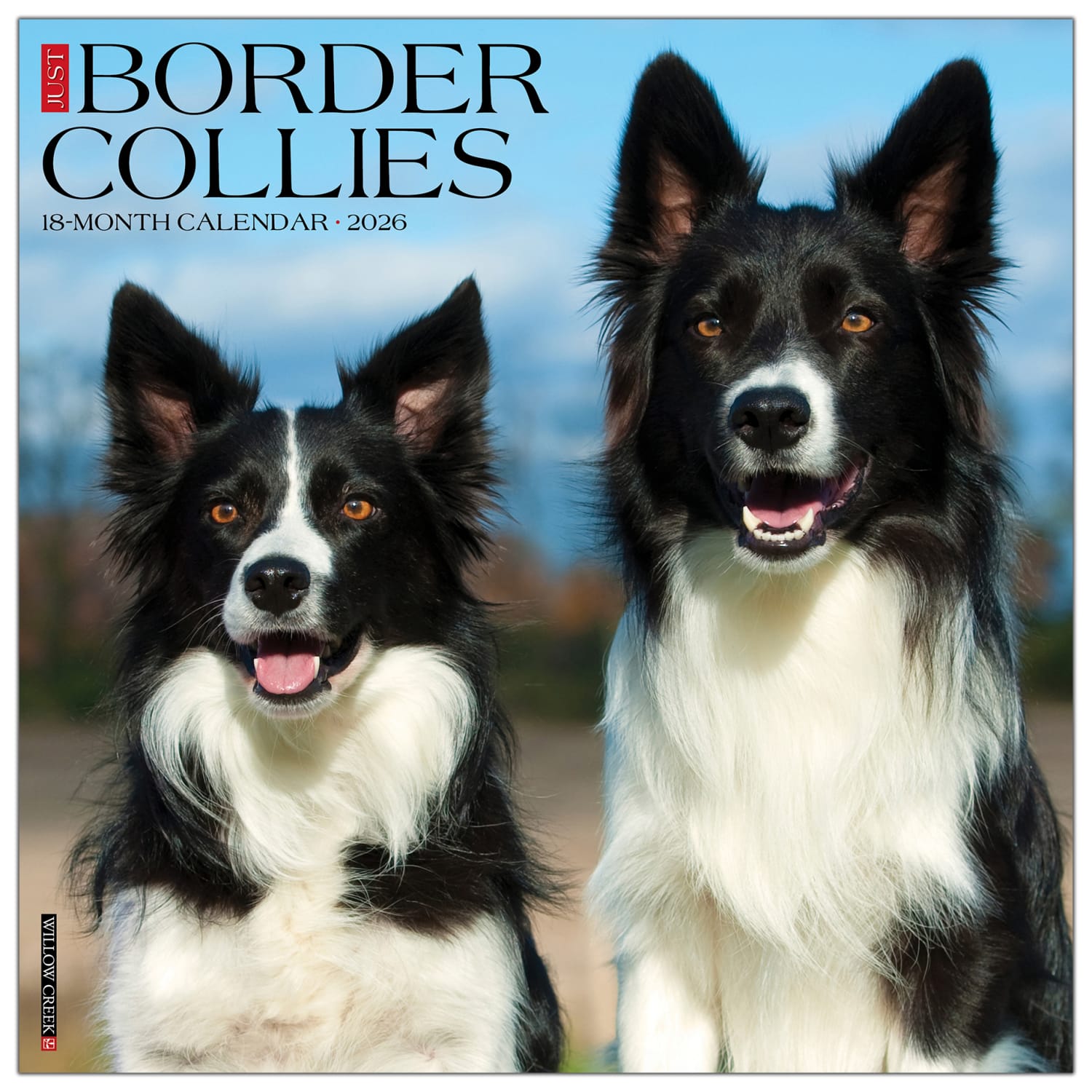 2026 Willow Creek Press Animals Monthly Wall Calendar, 12in x 12in, Border Collies, January To December, 50323 - Image 3