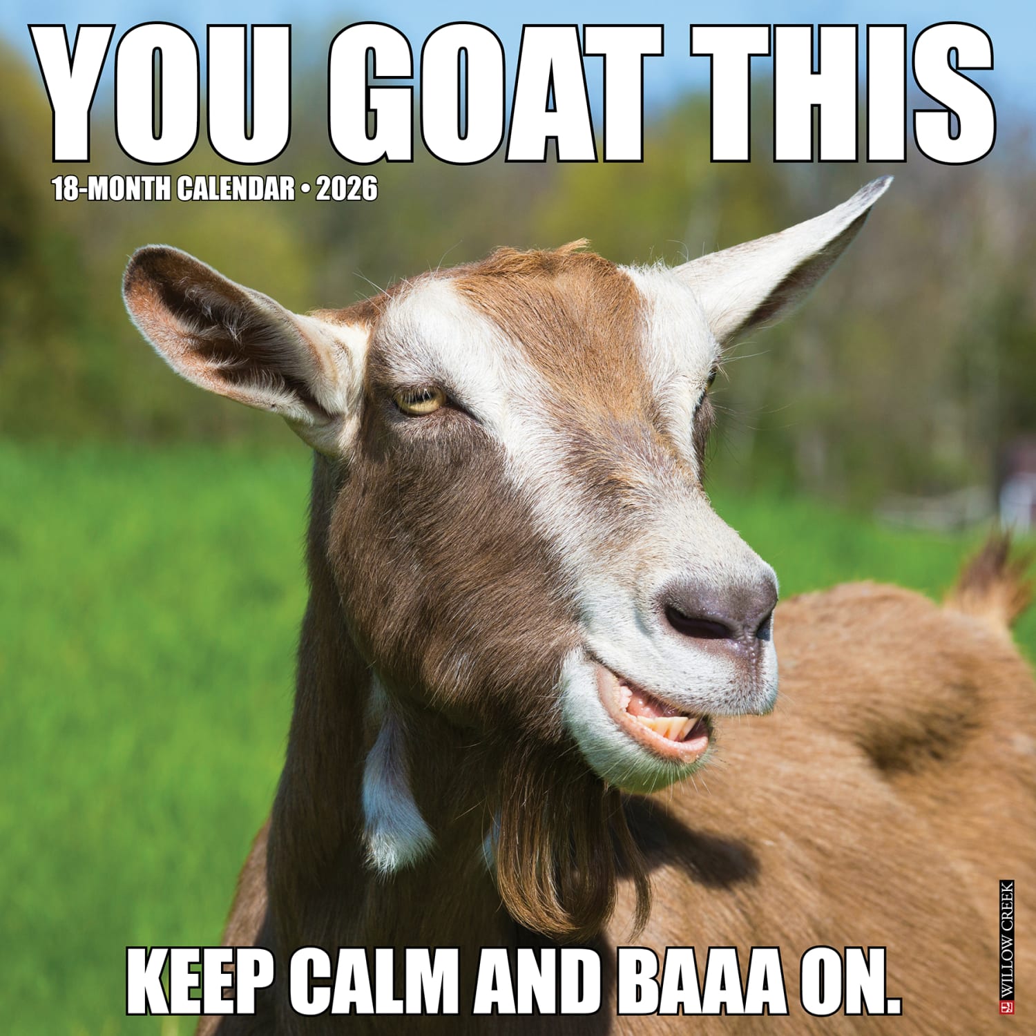 2026 Willow Creek Press Humor & Comics Monthly Wall Calendar, 12in x 12in, You Goat This, January To December, 53393