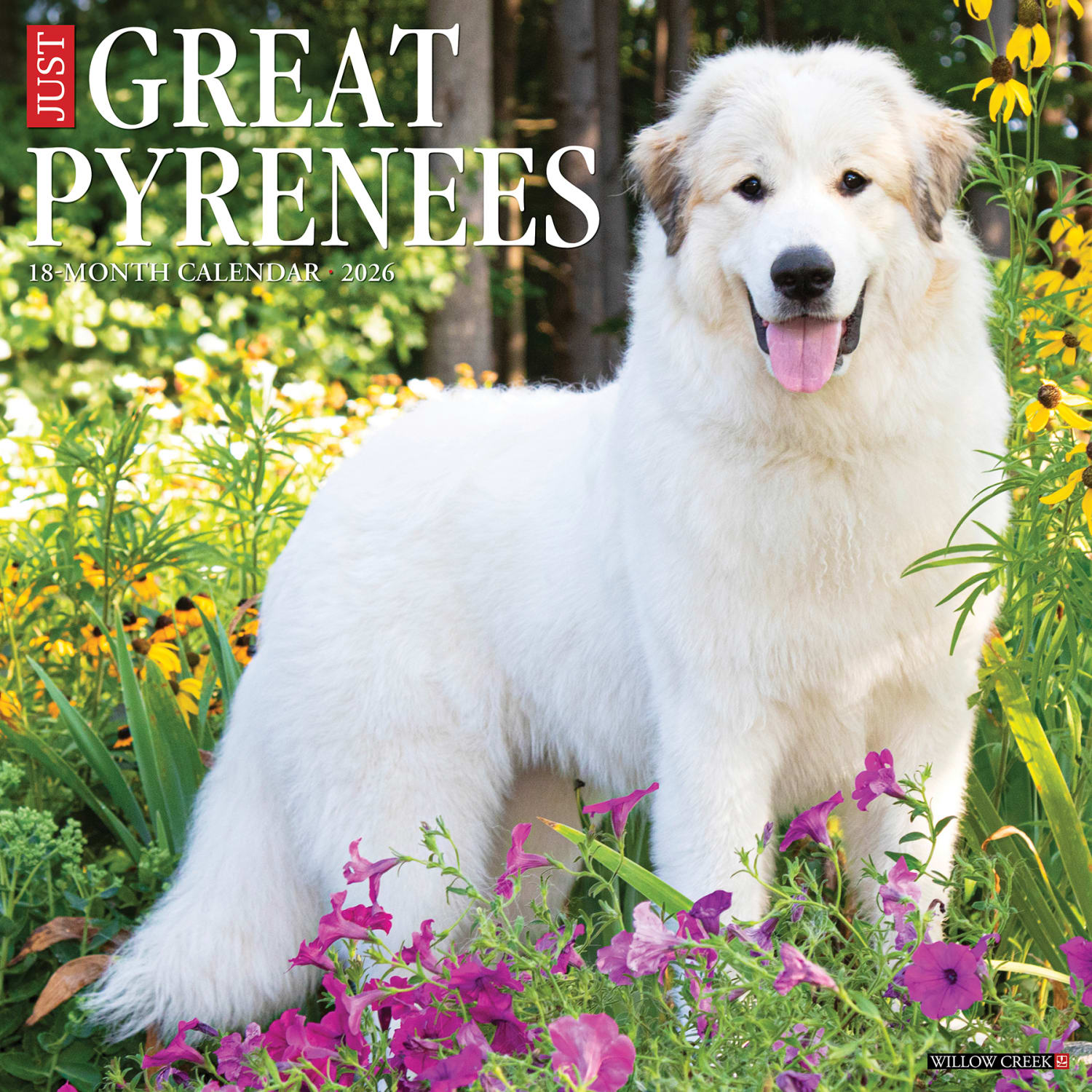 2026 Willow Creek Press Animals Monthly Wall Calendar, 12in x 12in, Great Pyrenees, January To December, 51375