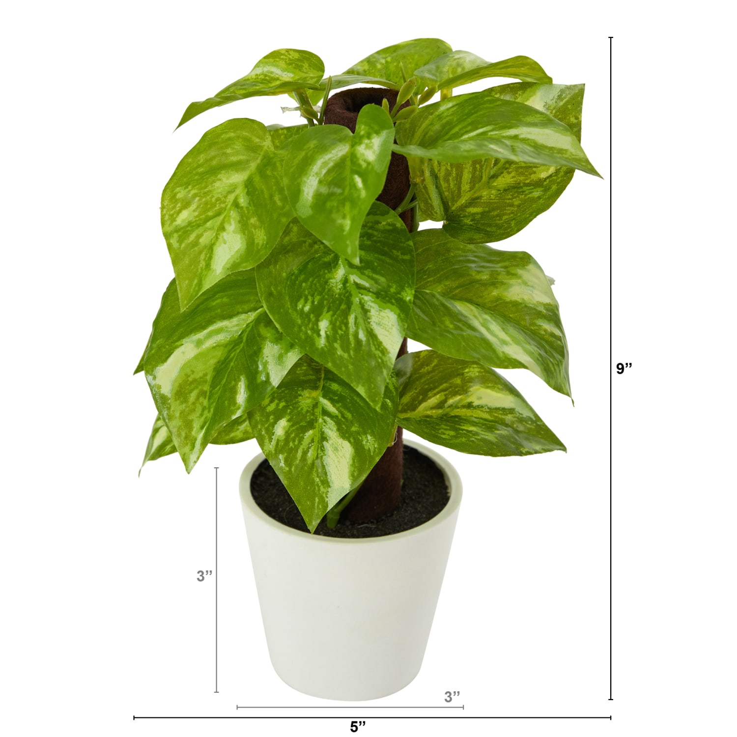 Nearly Natural Pothos 9inH Artificial Plant With Planter, 9inH x 5inW x 5inD, Green/White - Image 3