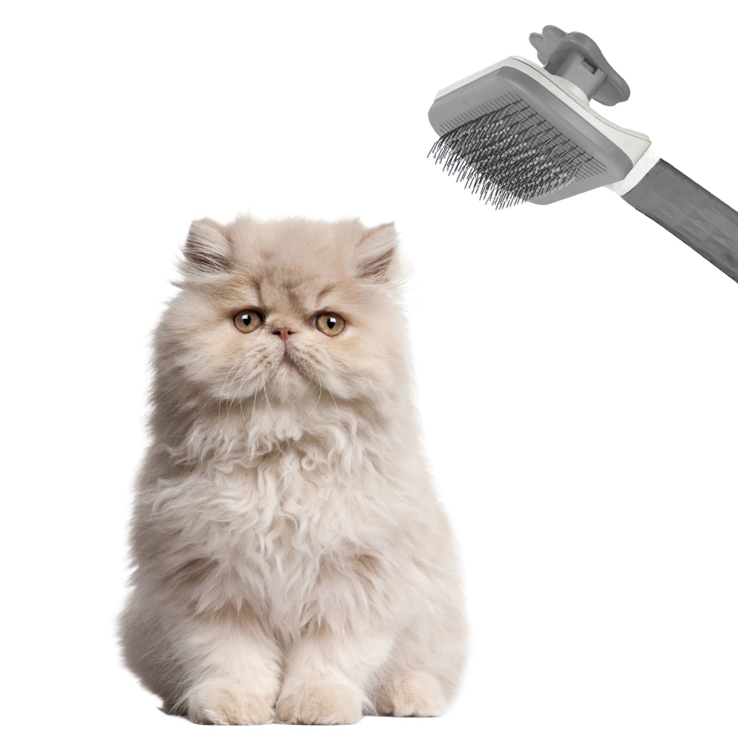 Nice Paws Groom Brush, 4in, Gray - Image 5