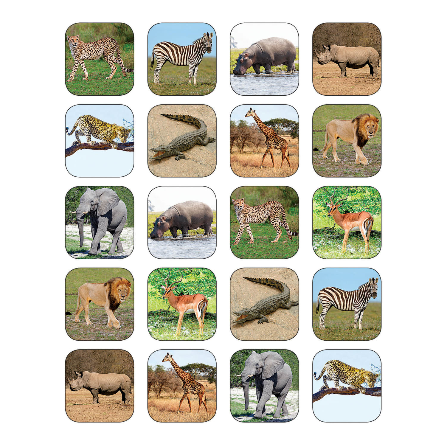Teacher Created Resources Stickers, Safari Animals, 120 Stickers Per Pack, Set Of 12 Packs - Image 3