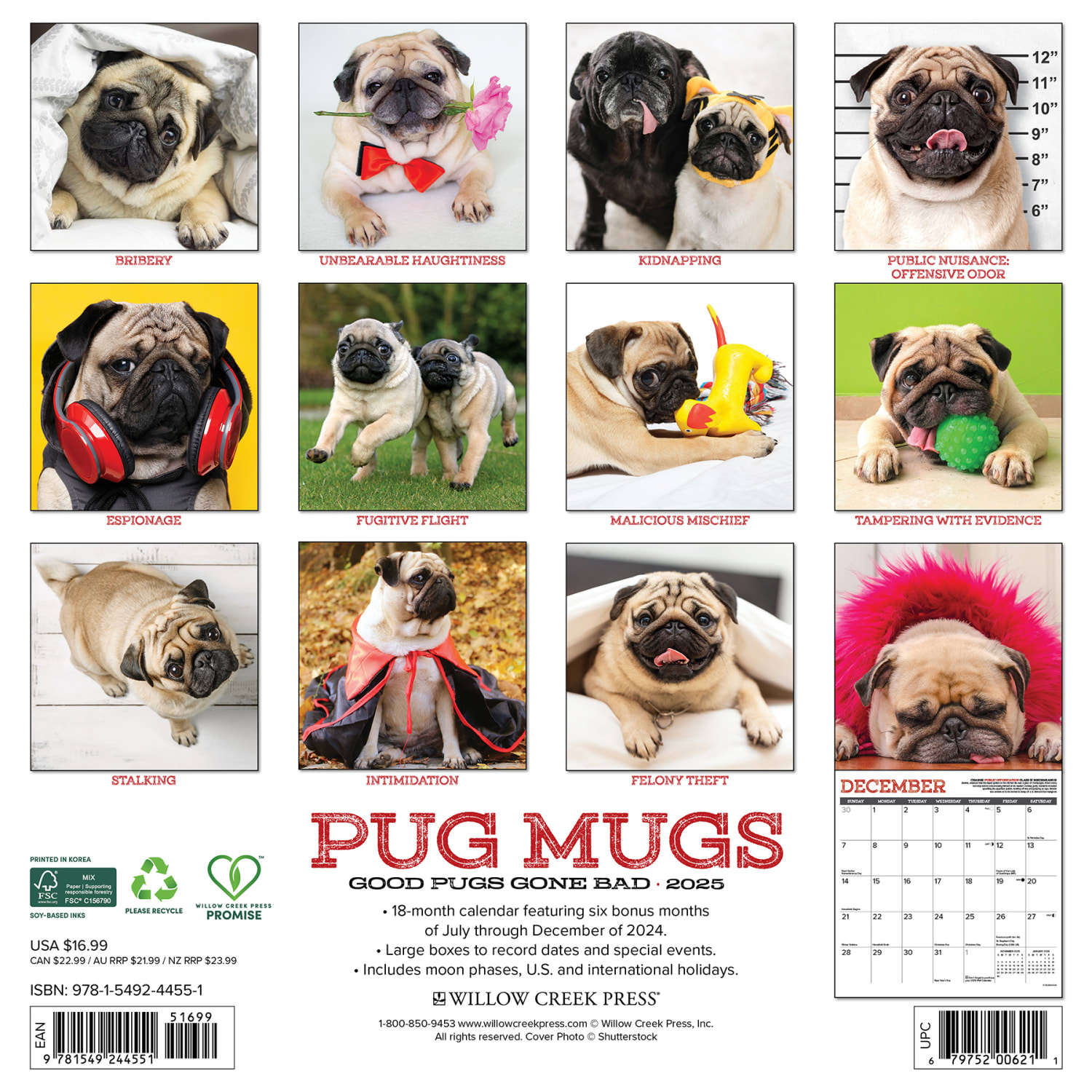 2025 Willow Creek Press Monthly Wall Calendar, 12in x 12in, Pug Mugs, January 2025 to December 2025, 44551 - Image 6