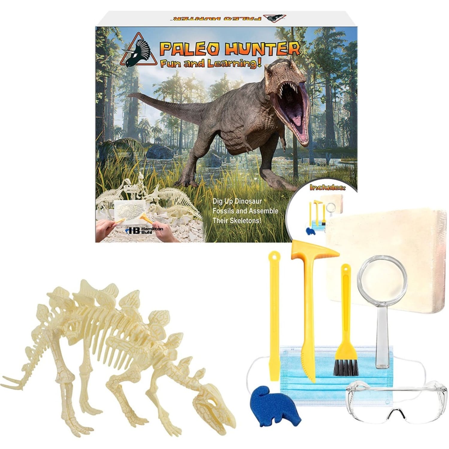 Stegosaurus