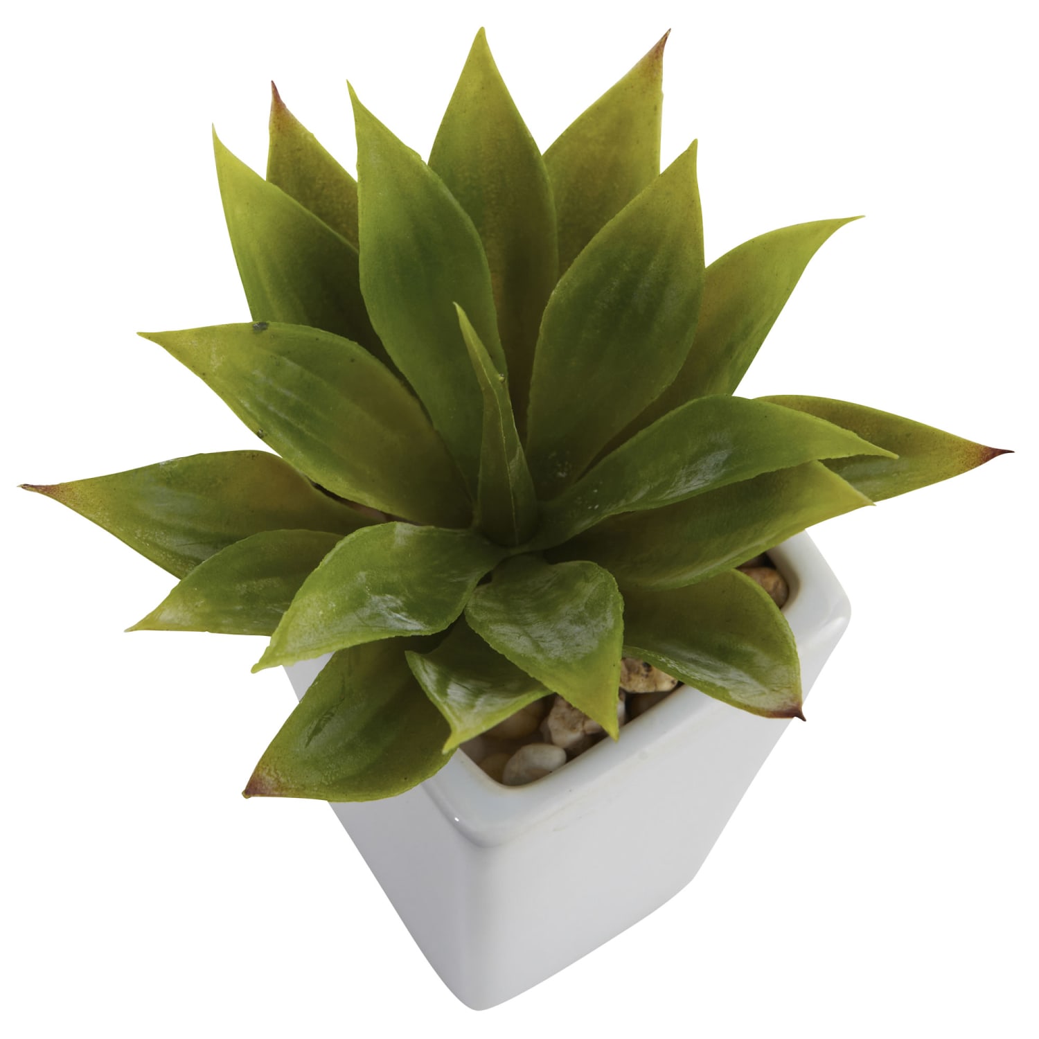 Nearly Natural Agave 9inH Artificial Mini Plants With Planter, 9inH x 5inW x 5inD, Green, Set Of 3 - Image 4