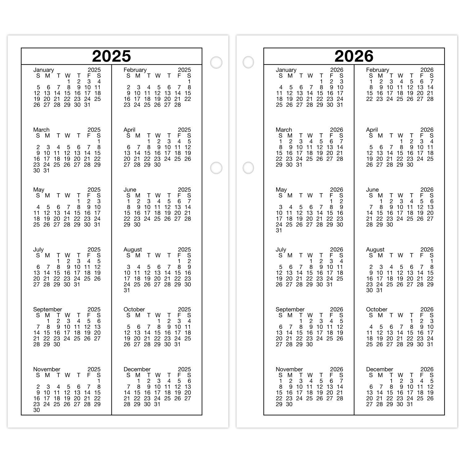 AT-A-GLANCE 2026 Daily Loose-Leaf Desk Calendar Refill, Standard, 4 1/2in x 8in - Image 6