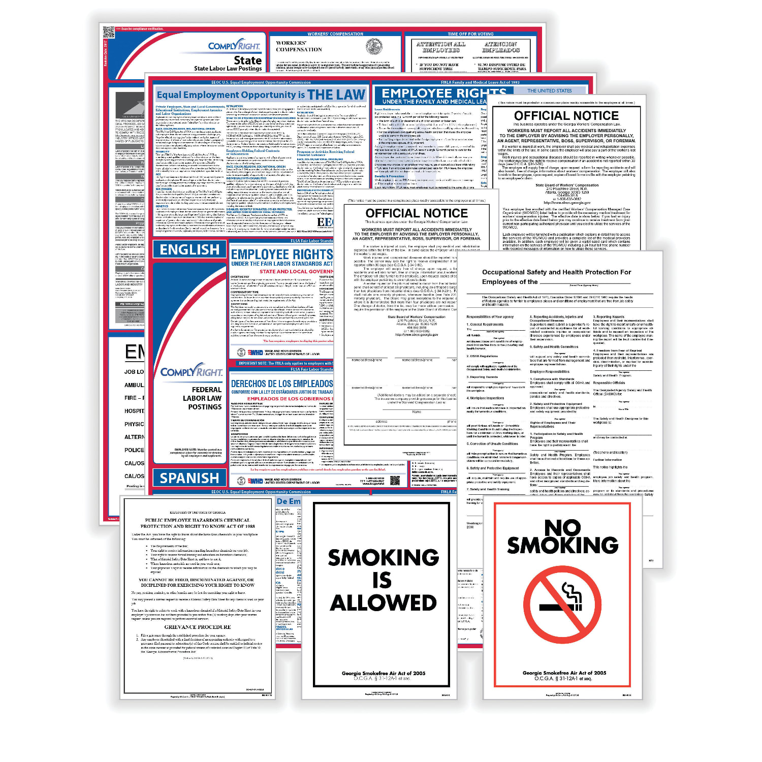ComplyRight Public Sector Federal (Bilingual) And State (English) Poster Set, New Hampshire - Image 5