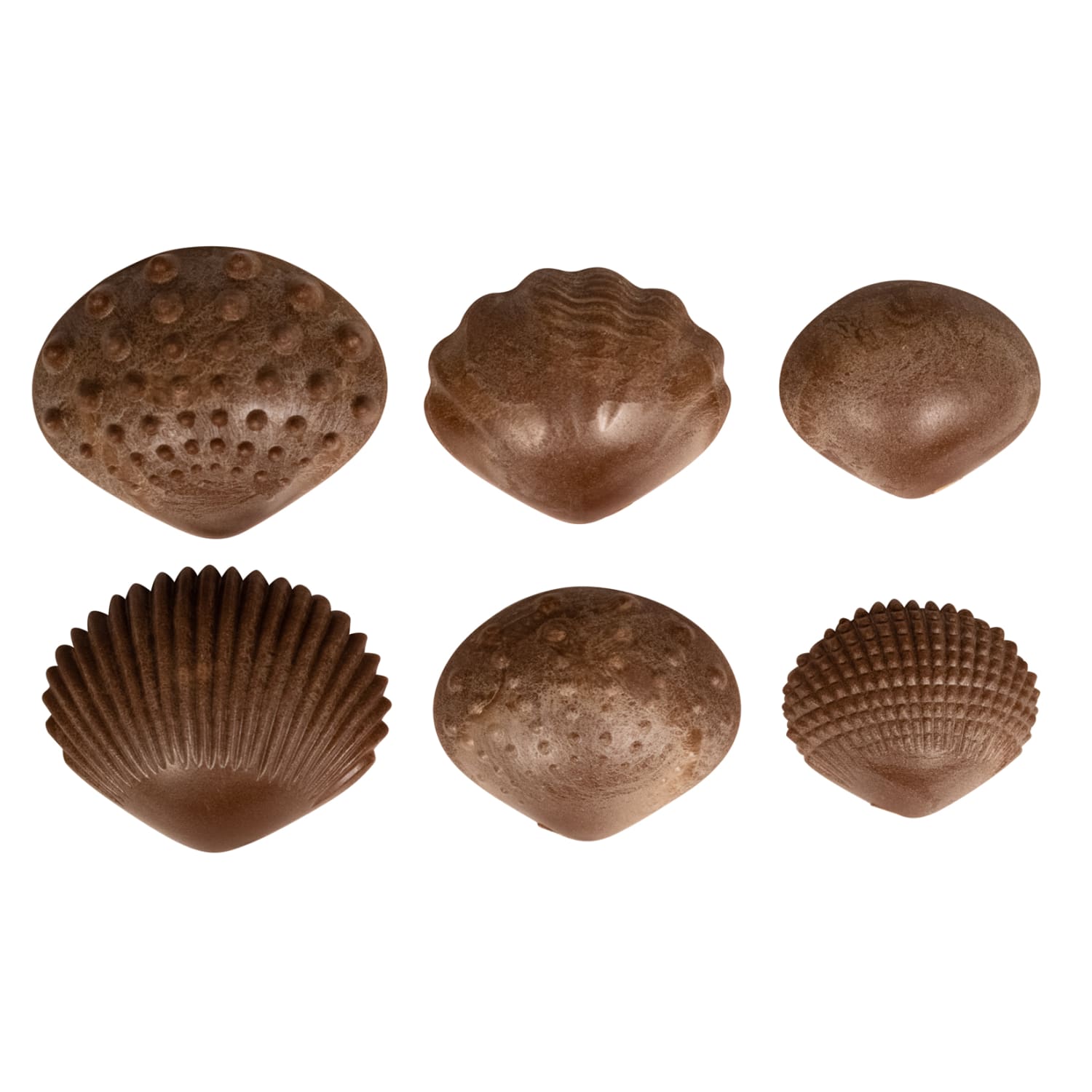 Edx Education Tactile Shells, Brown, Set Of 36 Shells - Image 3