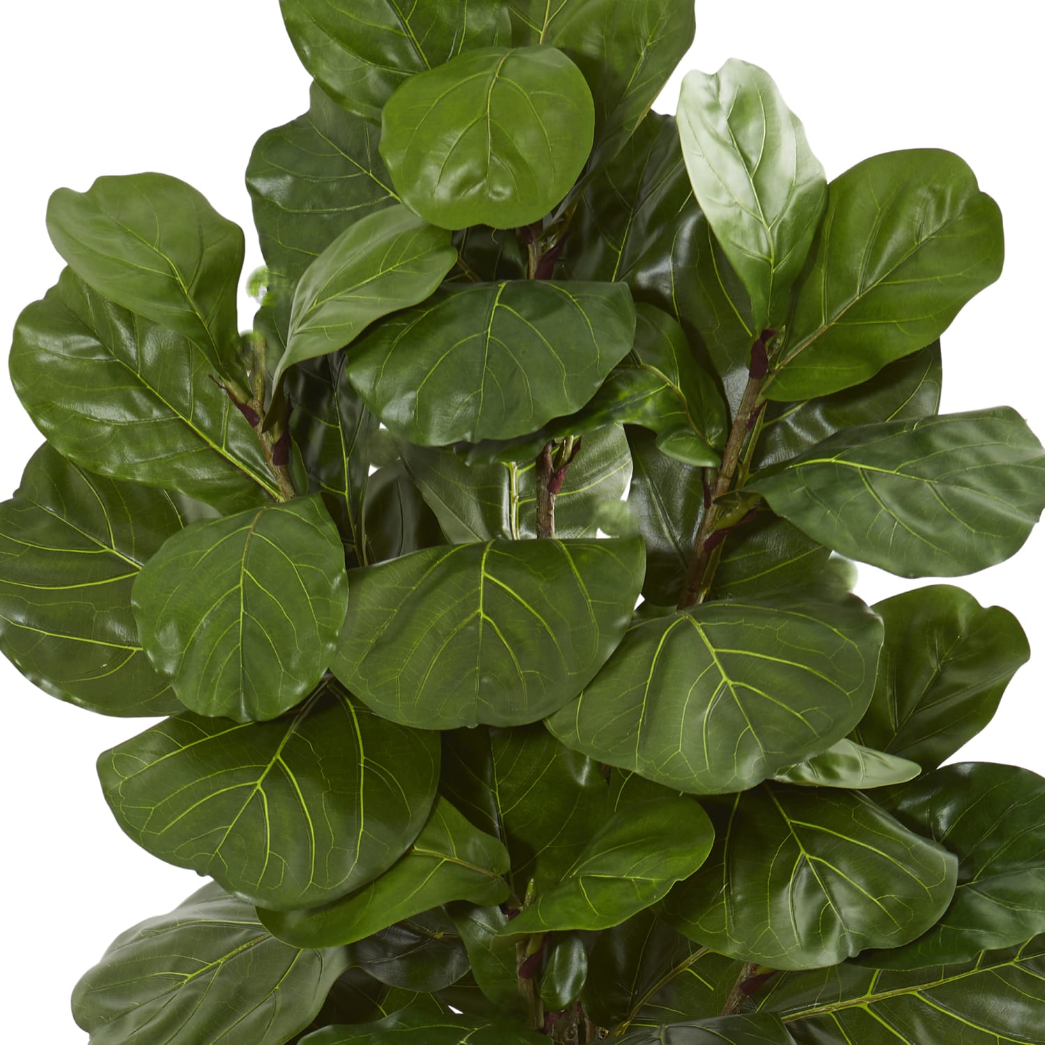 Nearly Natural 6-1/2ftH Fiddle Leaf Artificial Tree With Decorative Planter, 6-1/2ftH x 21inW x 21inD, Black/Green - Image 3
