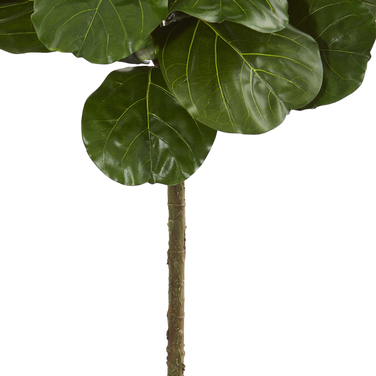 Nearly Natural 6-1/2ftH Fiddle Leaf Artificial Tree With Decorative Planter, 6-1/2ftH x 21inW x 21inD, Black/Green - Image 4