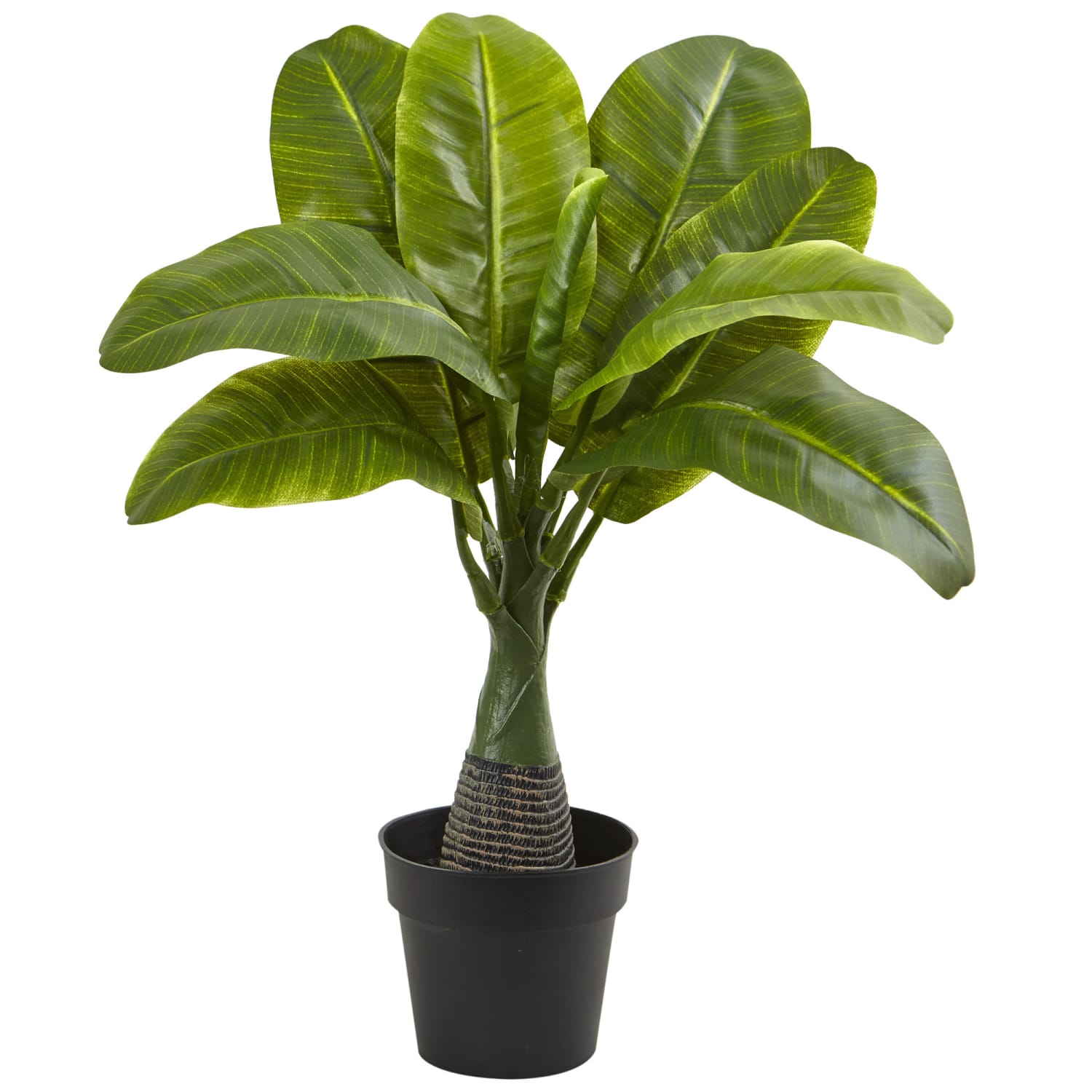 Nearly Natural Areca, Fountain & Banana Palm 16inH Artificial Trees With Pots, 16inH x 15inH x 15inD, Green, Set Of 3 - Image 4