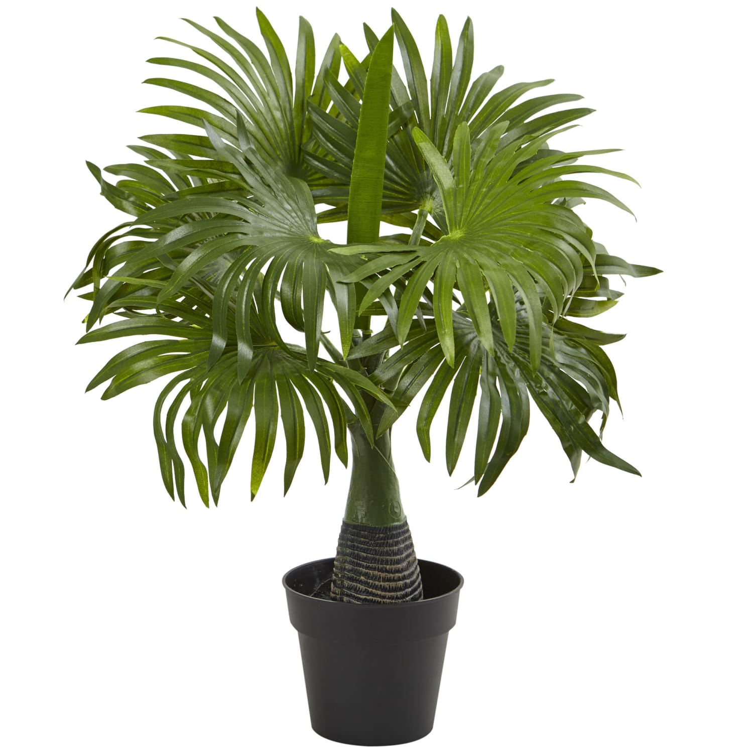 Nearly Natural Areca, Fountain & Banana Palm 16inH Artificial Trees With Pots, 16inH x 15inH x 15inD, Green, Set Of 3 - Image 5