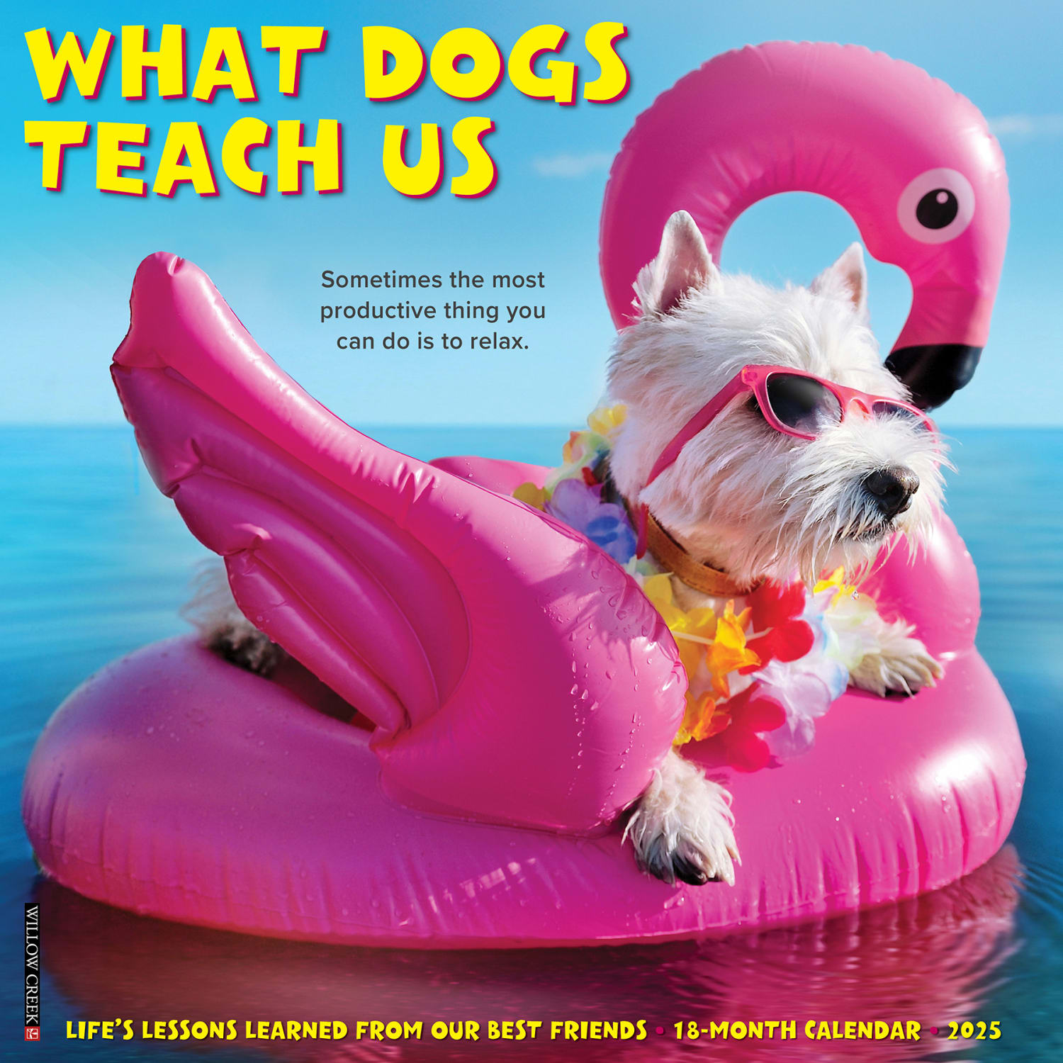 2025 Willow Creek Press Monthly Wall Calendar, 12in x 12in, What Dogs Teach Us, January 2025 to December 2025, 45350