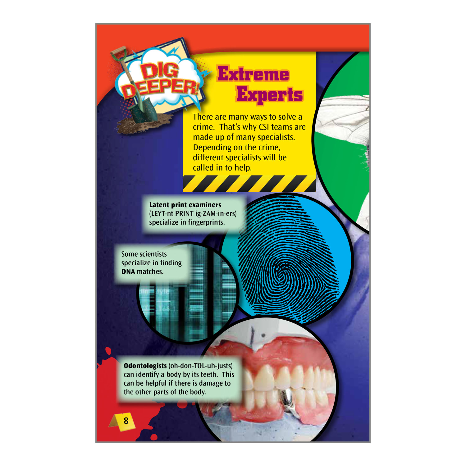 Teacher Created Materials TIME FOR KIDS Nonfiction Book Set, Set 2, Set Of 10 Books, Grade 4 - Image 5