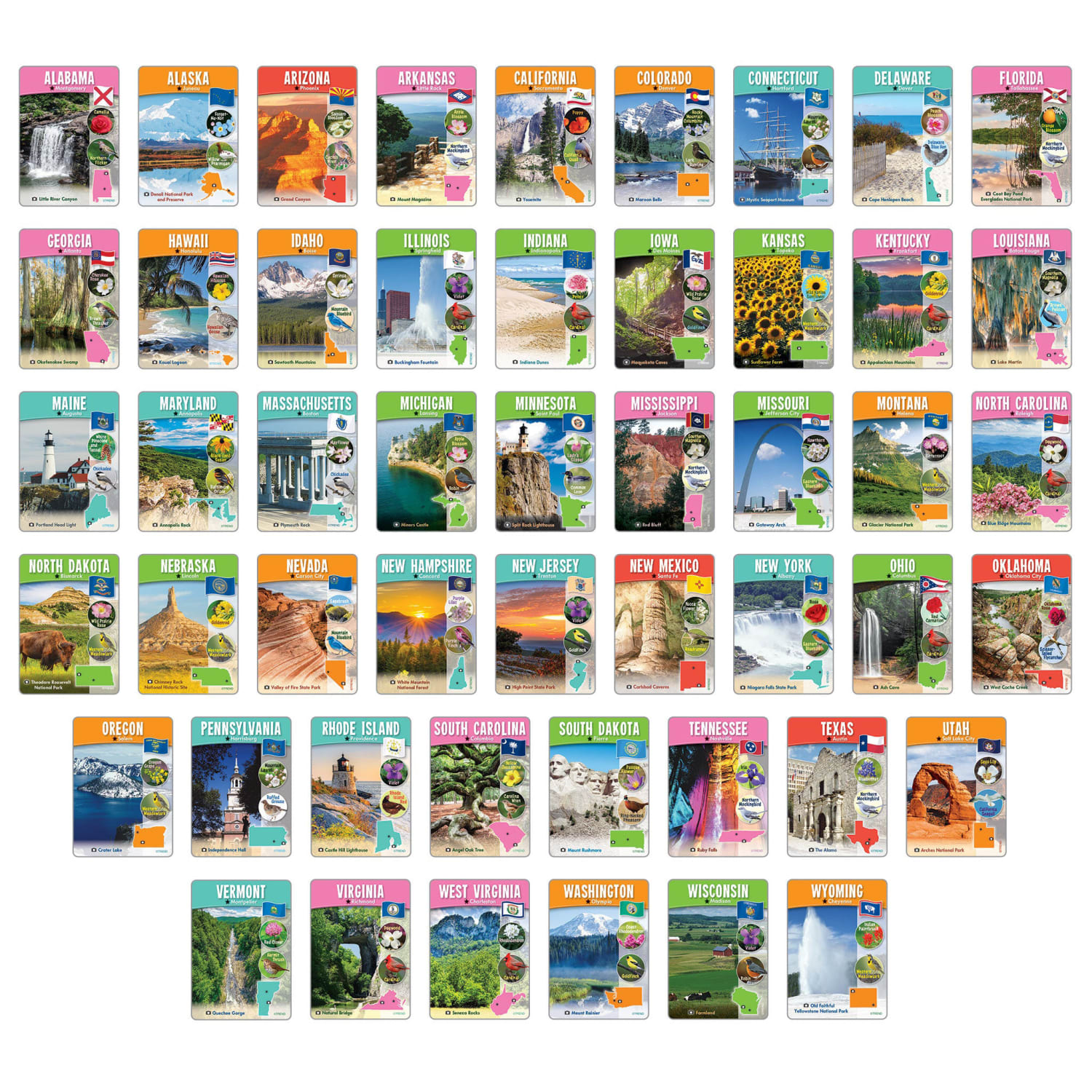 Trend Wipe-Off Learning Set, The United States - Image 4