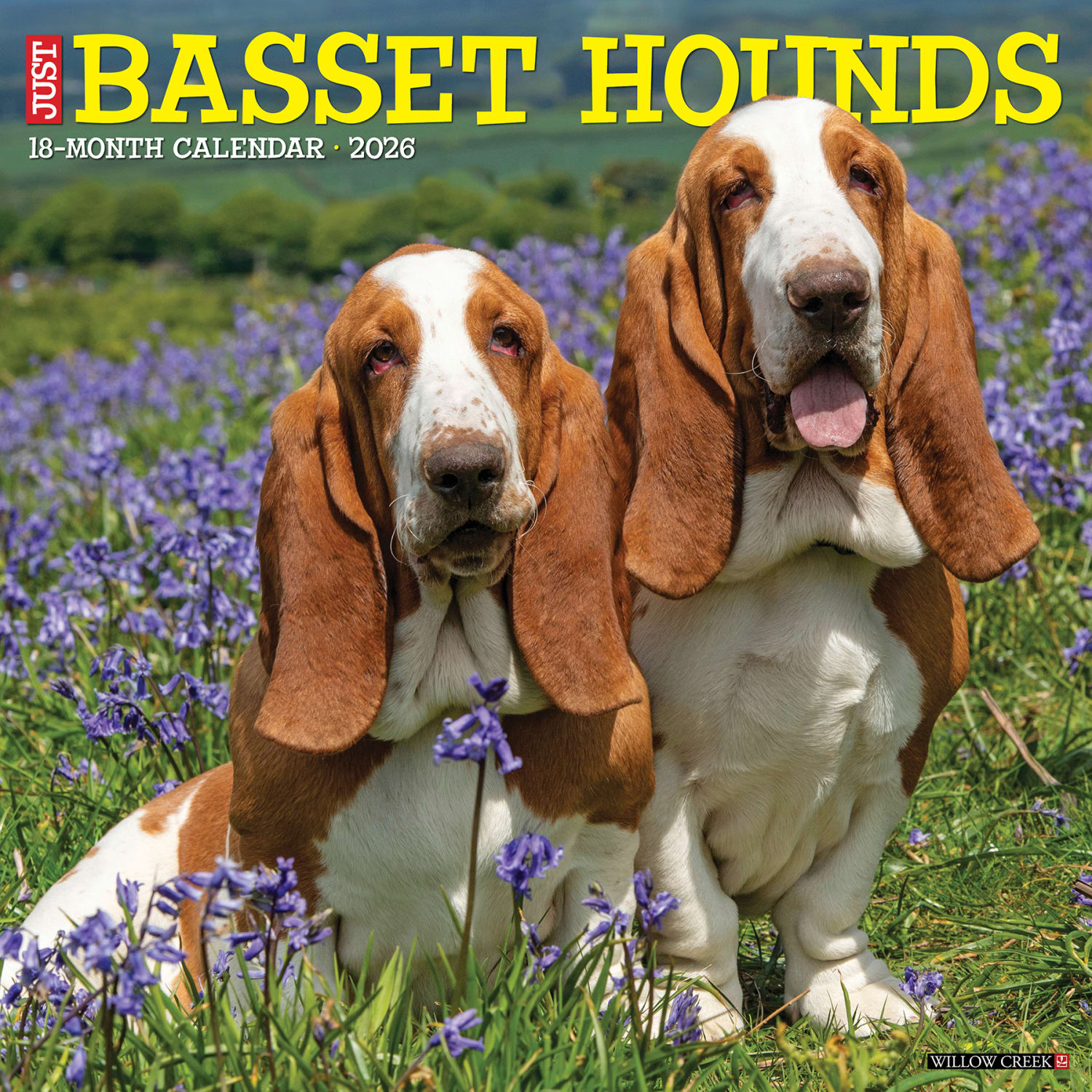 2026 Willow Creek Press Animals Monthly Wall Calendar, 12in x 12in, Basset Hounds, January To December, 50095 - Image 3