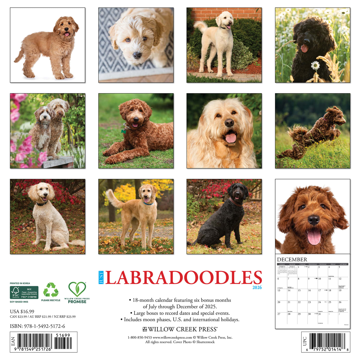 2026 Willow Creek Press Animals Monthly Wall Calendar, 12in x 12in, Just Labradoodles, January To December, 51726 - Image 6
