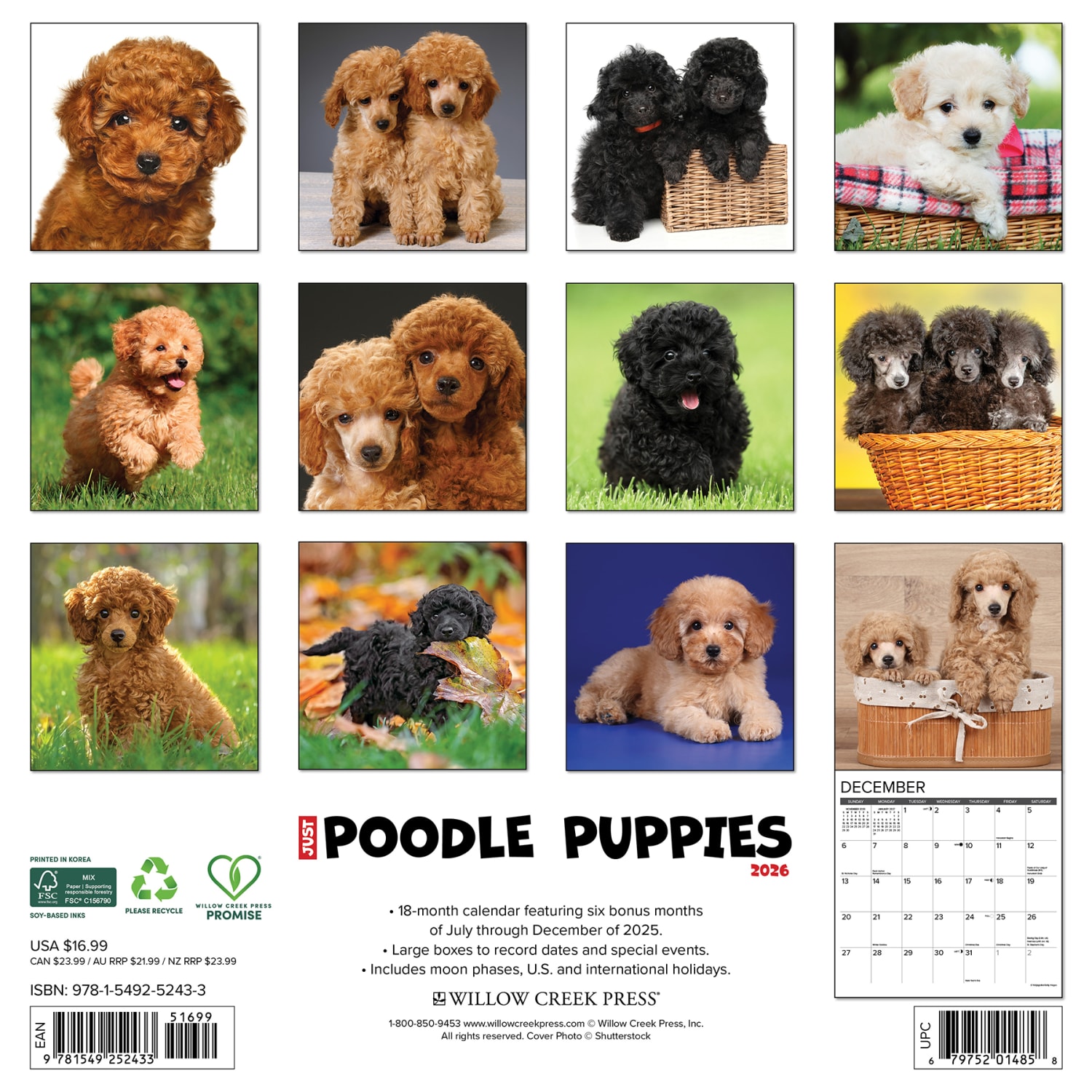 2026 Willow Creek Press Animals Monthly Wall Calendar, 12in x 12in, Poodle Puppies, January To December, 52433 - Image 6