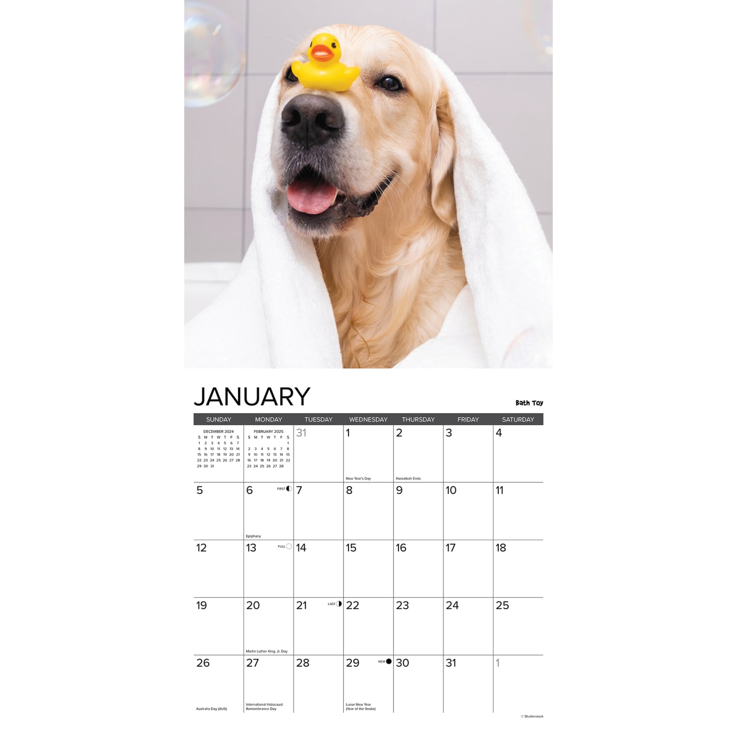 2025 Willow Creek Press Animals Monthly Wall Calendar, 12in x 12in, 12 Uses for a Golden, January To December, 41178 - Image 3