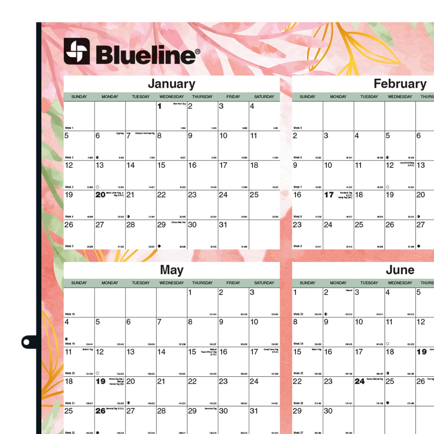 2025 Blueline Colorful Laminated, Reversible And Erasable Yearly Wall Planner, 24in x 36in, Tropical, January To December, C171920 - Image 5