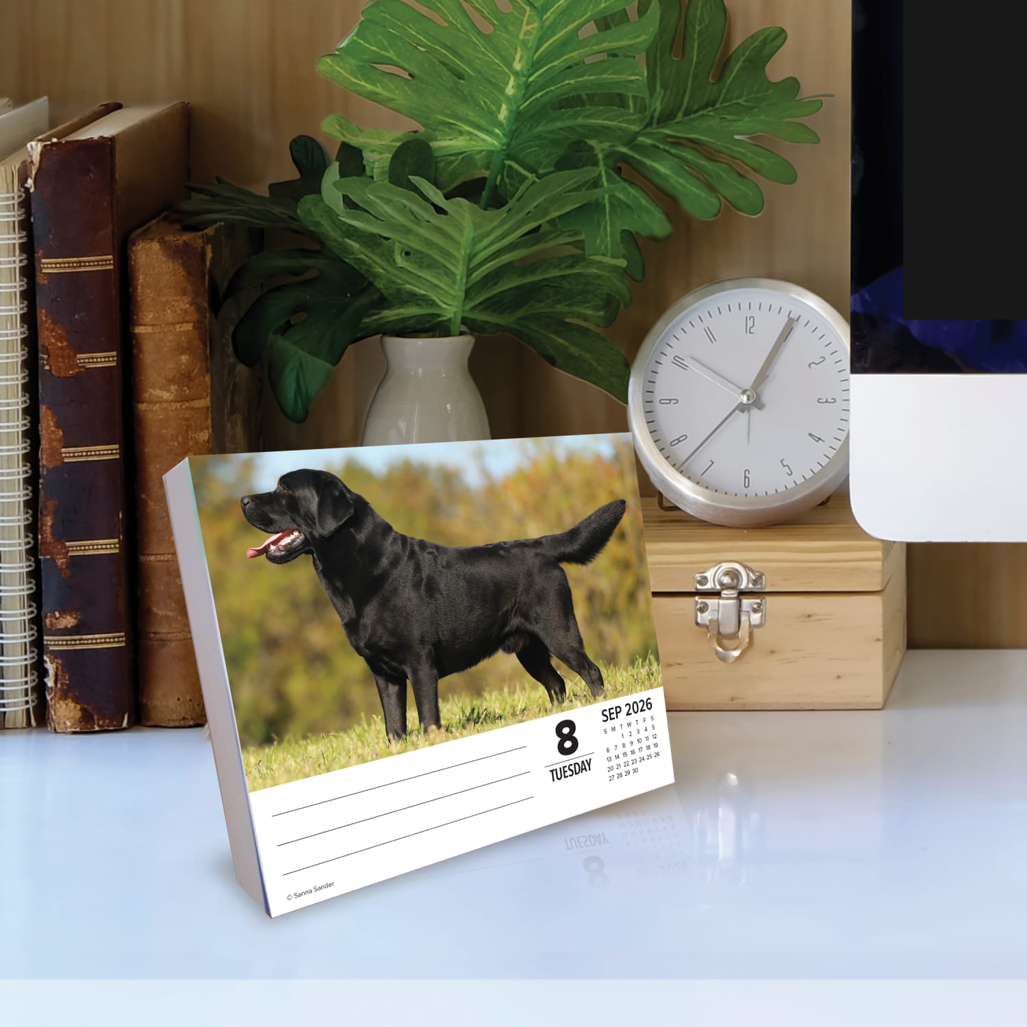 2026 Willow Creek Press Page-A-Day Daily Desk Calendar, 6-1/4in x 5-1/2in, Just Labs, January To December, 54277 - Image 3
