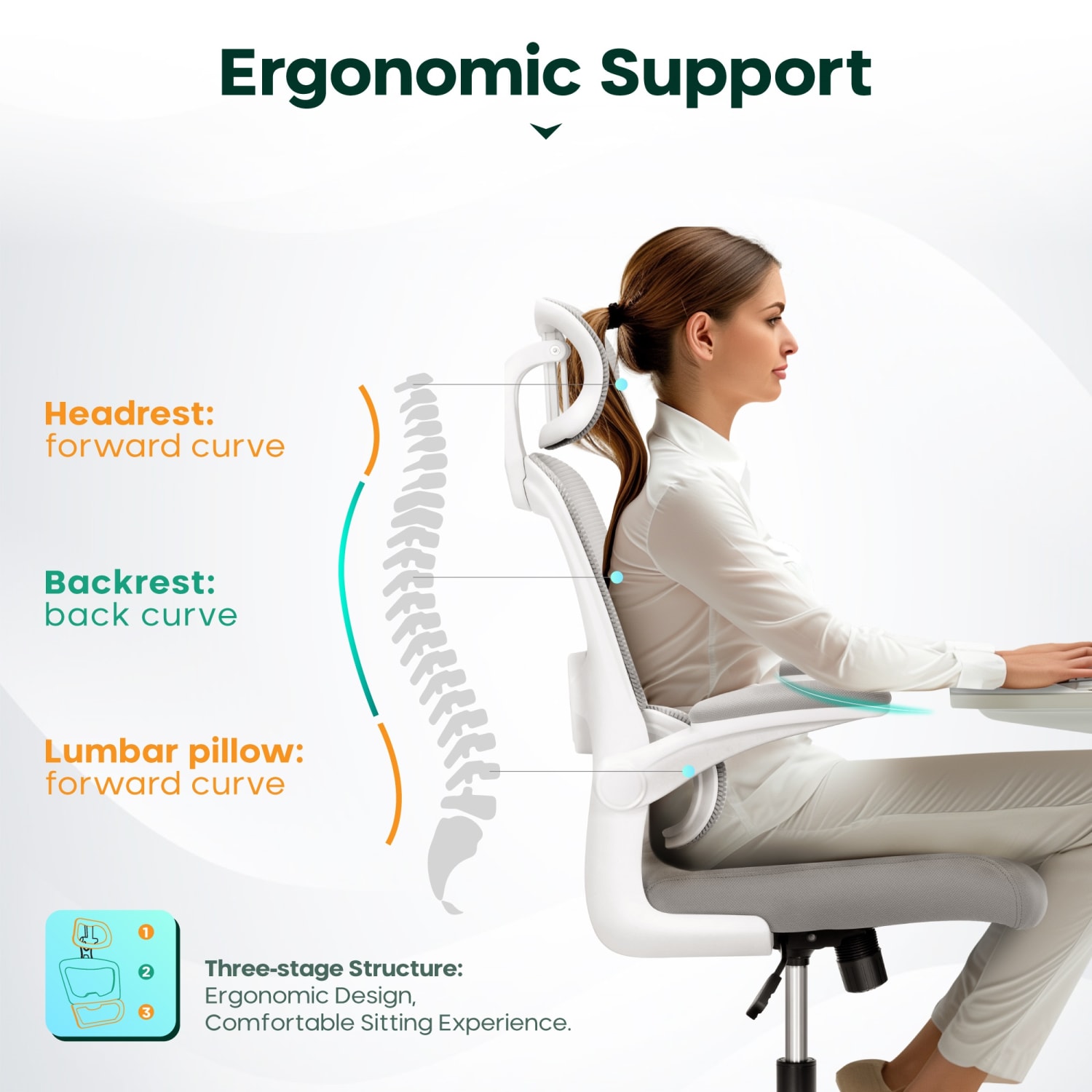 ALPHA HOME Ergonomic Mesh MidBack Office Task Chair With Padded Armrests White PopularChairscom ALPHA HOME Ergonomic Mesh Mid Back Office Task Chair With Padded Armrests White PopularChairscom