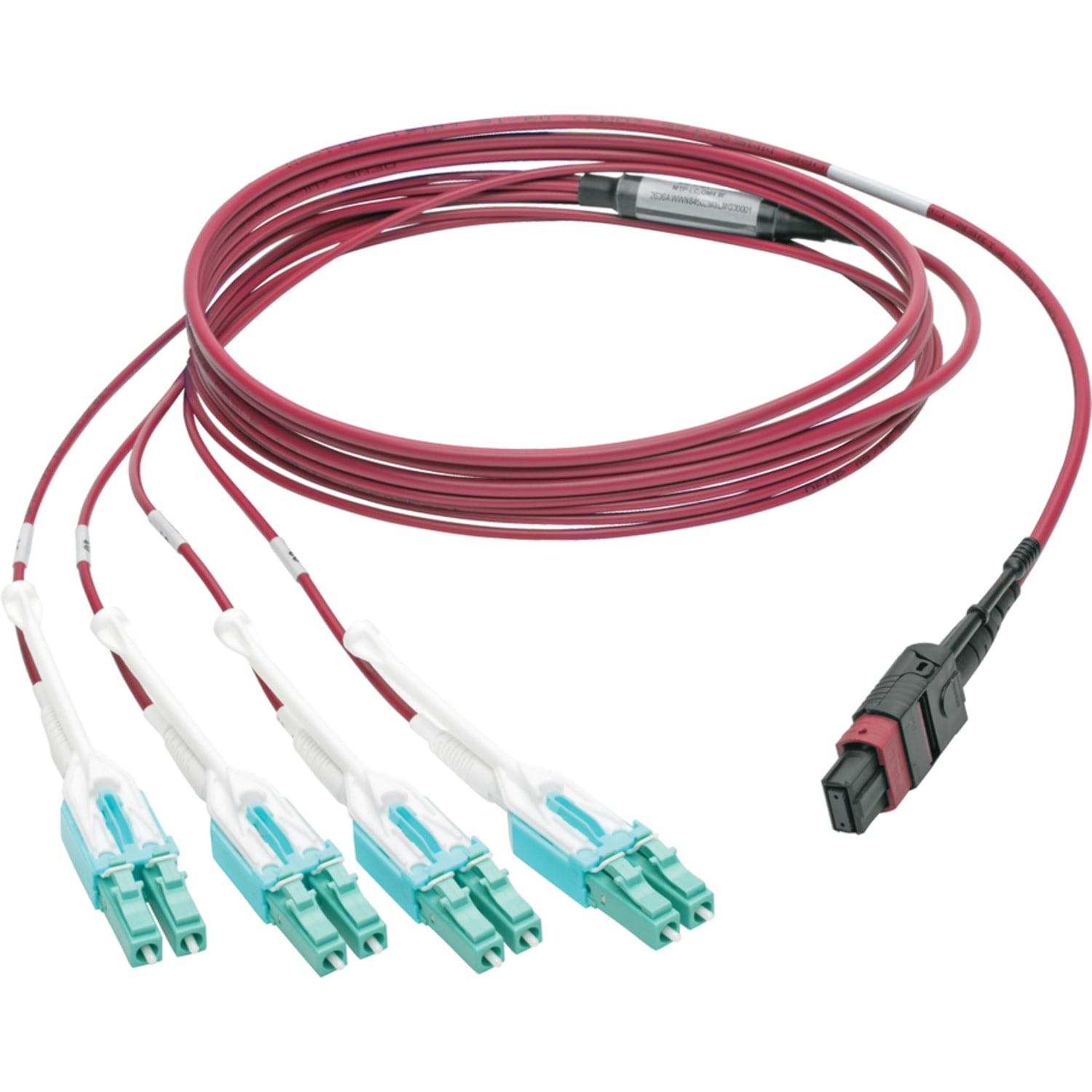Eaton Tripp Lite Series 40G MTP/MPO to 4xLC Fan-Out OM4 Plenum-Rated Fiber Optic Cable, 40GBASE-SR4, Push/Pull Tabs, Magenta, 3 m - Fiber Optic - Image 4