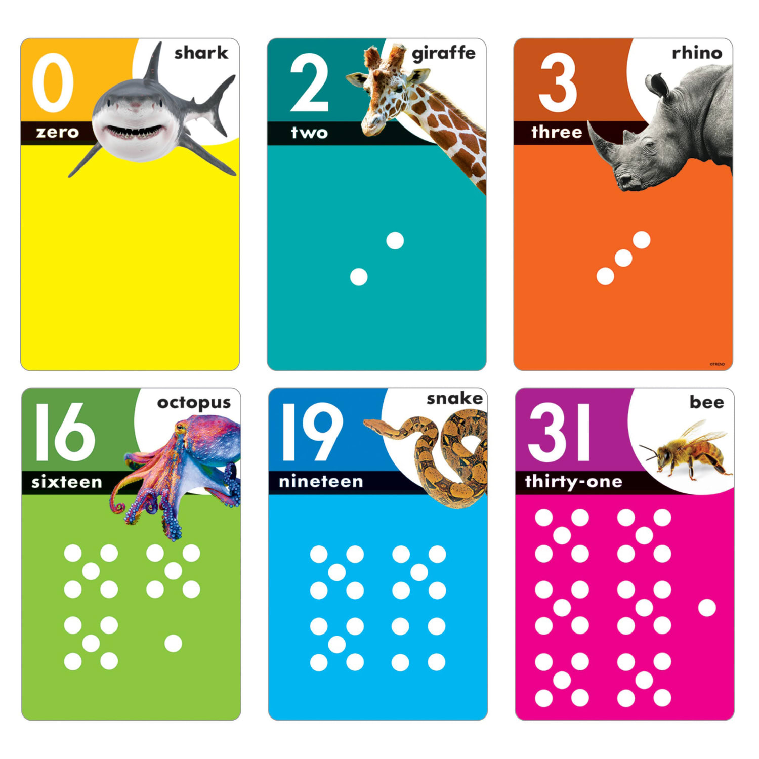 Trend Essential Skills Explore Set, Kindergarten Readiness, Pre-K To 2 - Image 5