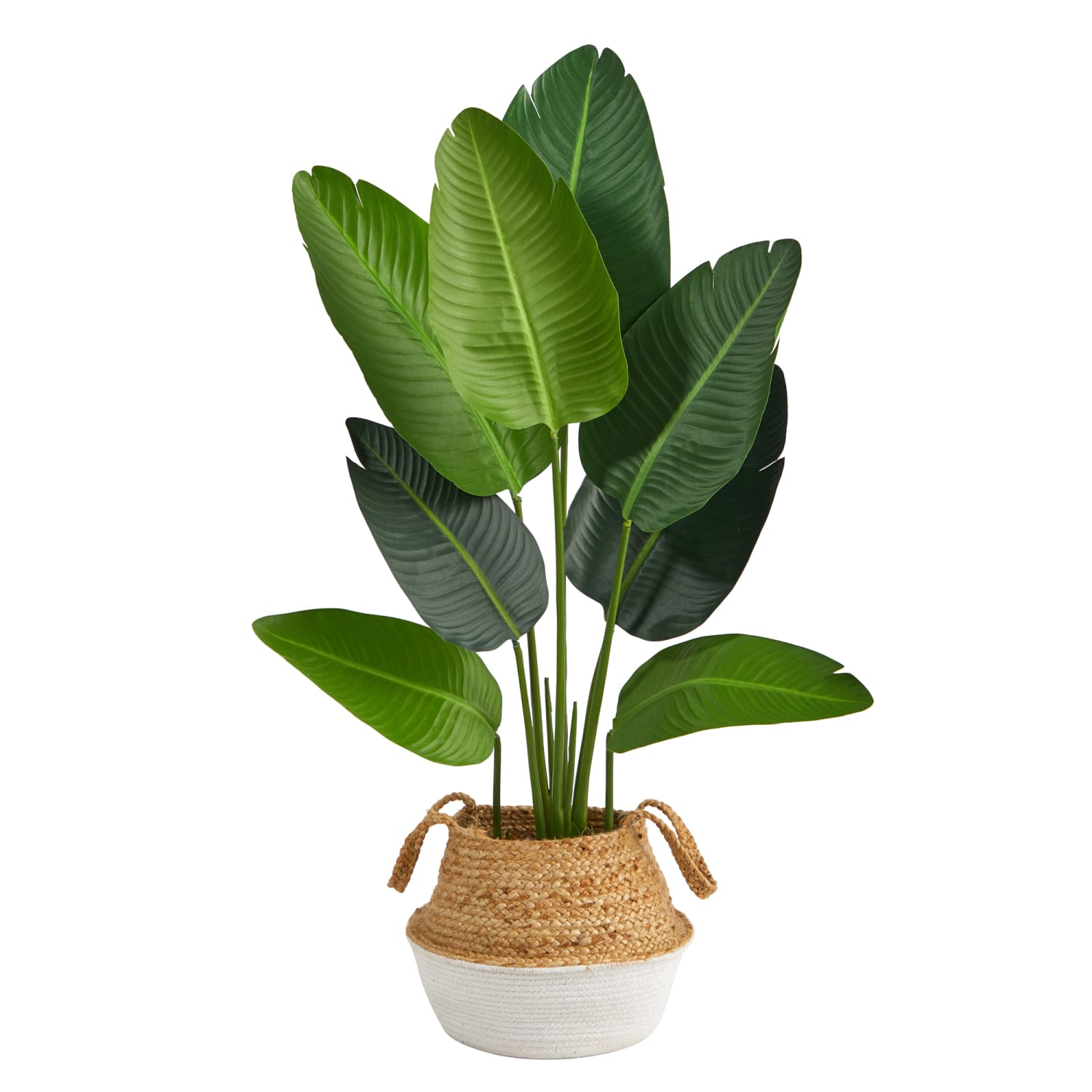 Nearly Natural Traveler's Palm 48inH Artificial Plant With Handmade Woven Planter, 48inH x 8inW x 8inD, Green/Brown/White - Image 3