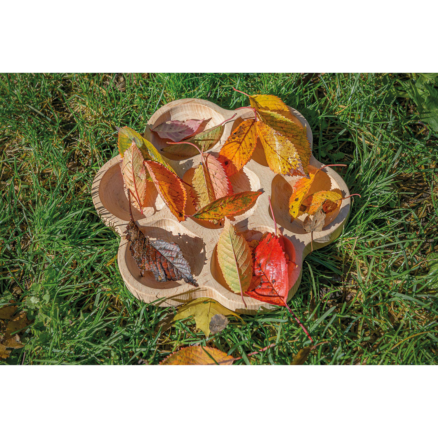Yellow Door Natural Flower 6-Section Tactile Tray, Brown, Pre-K To 1st - Image 3