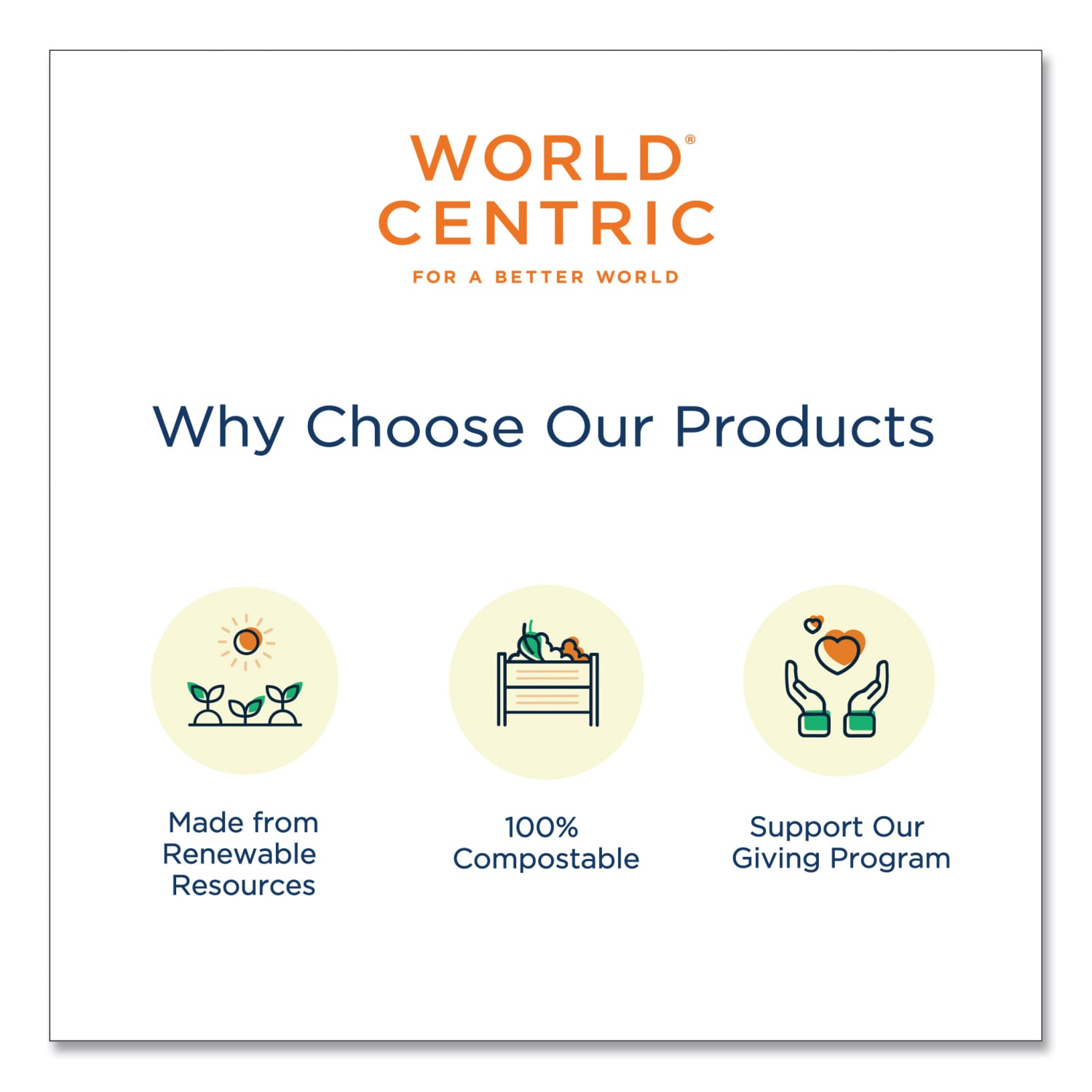 World Centric NoTree Paper Hot Cups, 10 Oz, Natural, Pack Of 1,000 Cups - Image 3