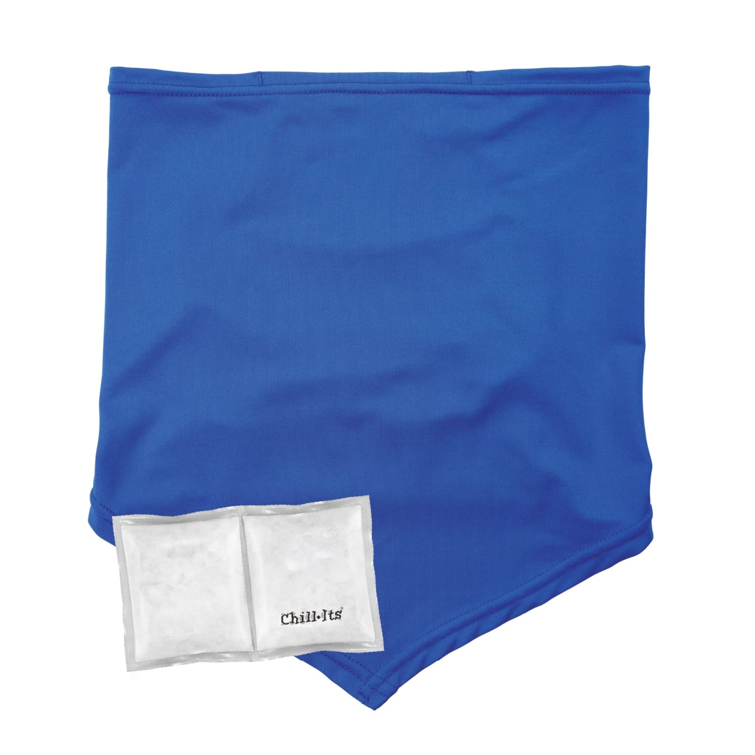 Ergodyne Chill-Its 6482 Cooling Neck Gaiter Bandana With Pocket/Ice Packs, L/XL, Blue