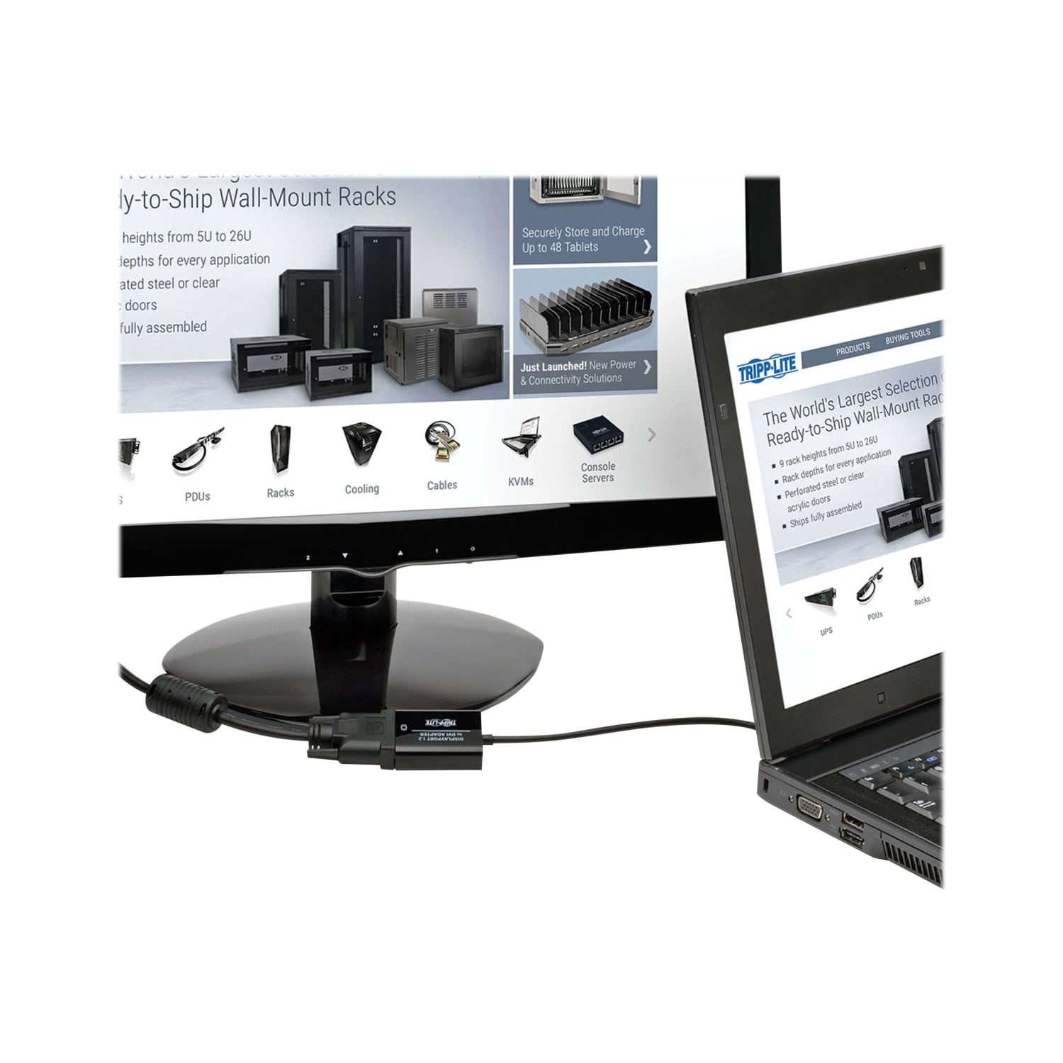 Tripp Lite DisplayPort to DVI Active Adapter Converter 1080p 6in DP to DVI 50 Pack - Video converter - DisplayPort - DVI - black - bulk (pack of 50) - Image 3