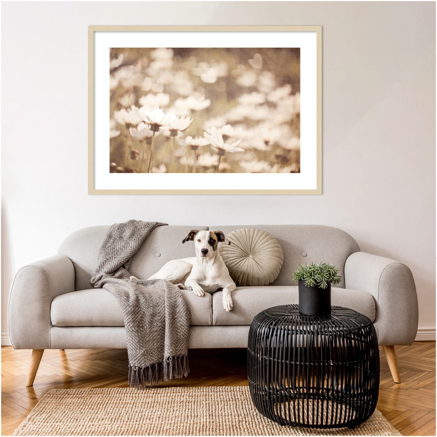 Amanti Art Daisies I Neutral by Elizabeth Urquhart Wood Framed Wall Art Print, 30inH x 41inW, Natural - Image 6