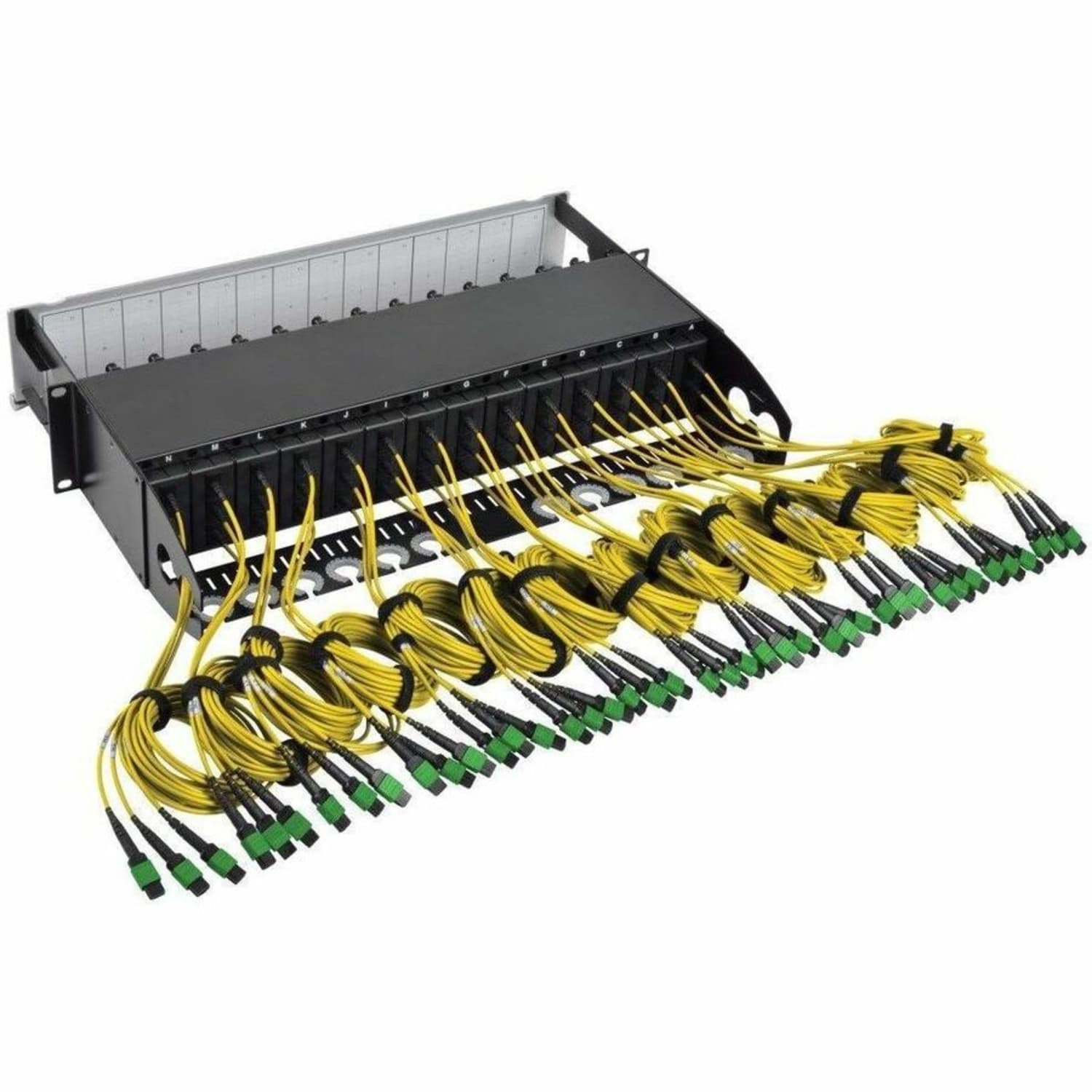 Tripp Lite 40GB-10GB 8.3/125 OM4 Patch Panel - Image 3