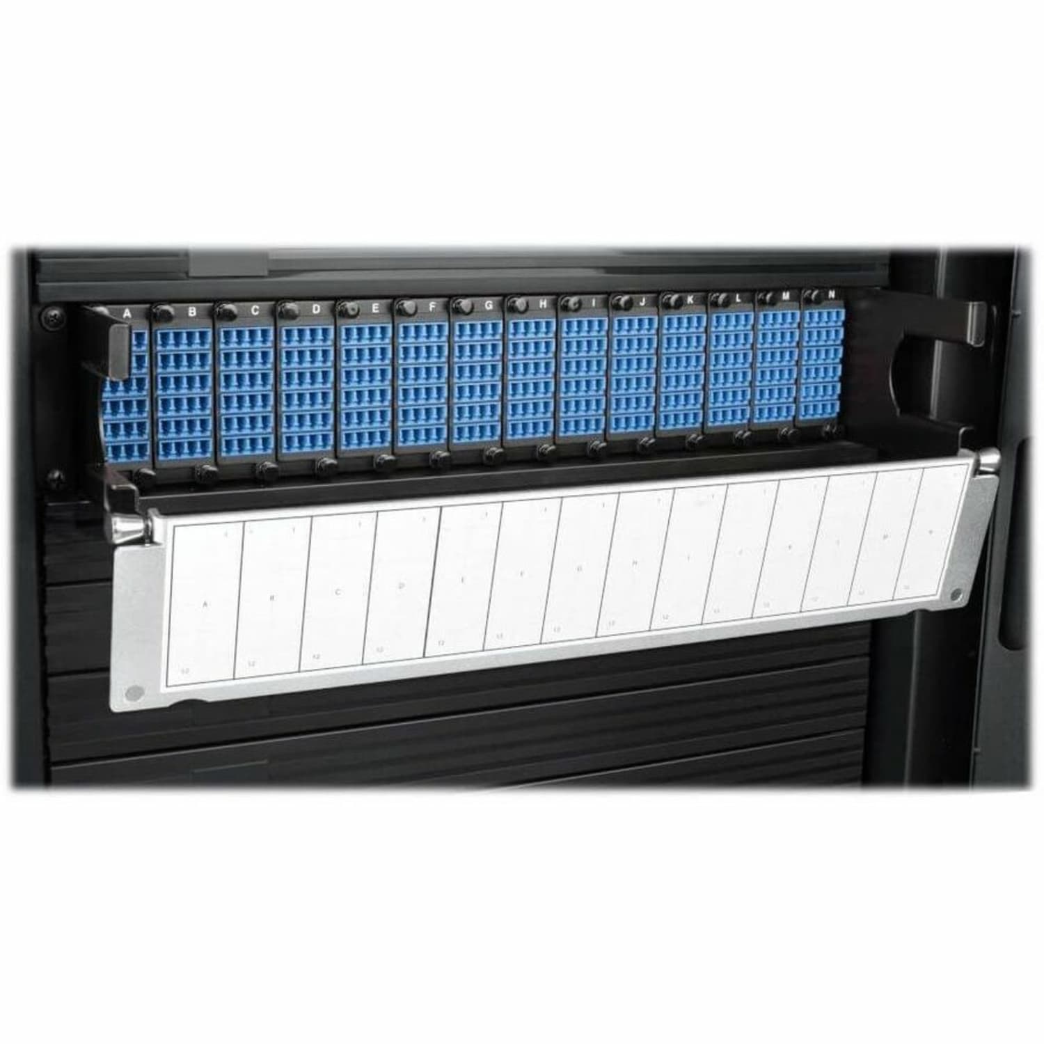 Tripp Lite 40GB-10GB 8.3/125 OM4 Patch Panel - Image 4