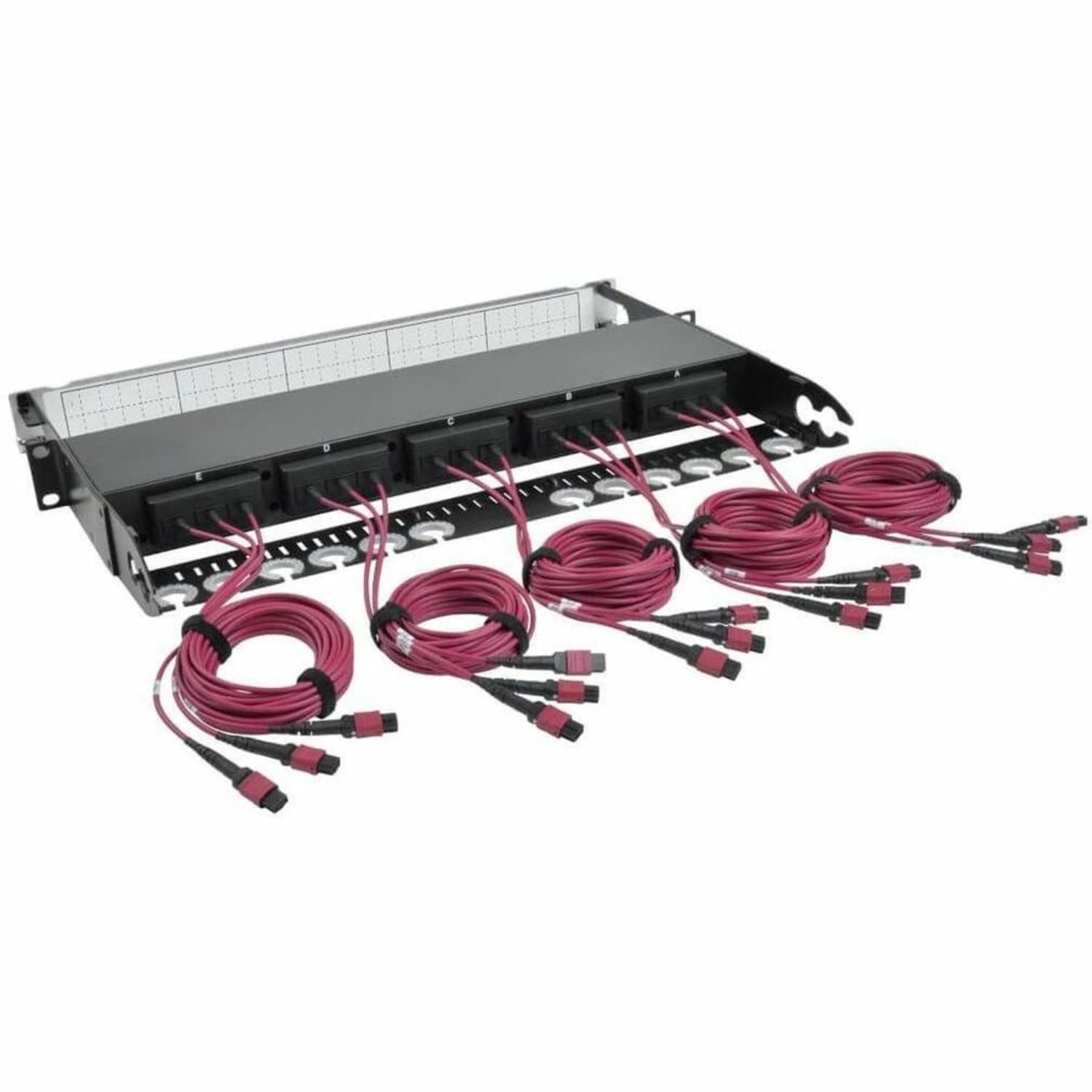 Tripp Lite 50/125 OM4 40GB-10GB Patch Panel - Image 3