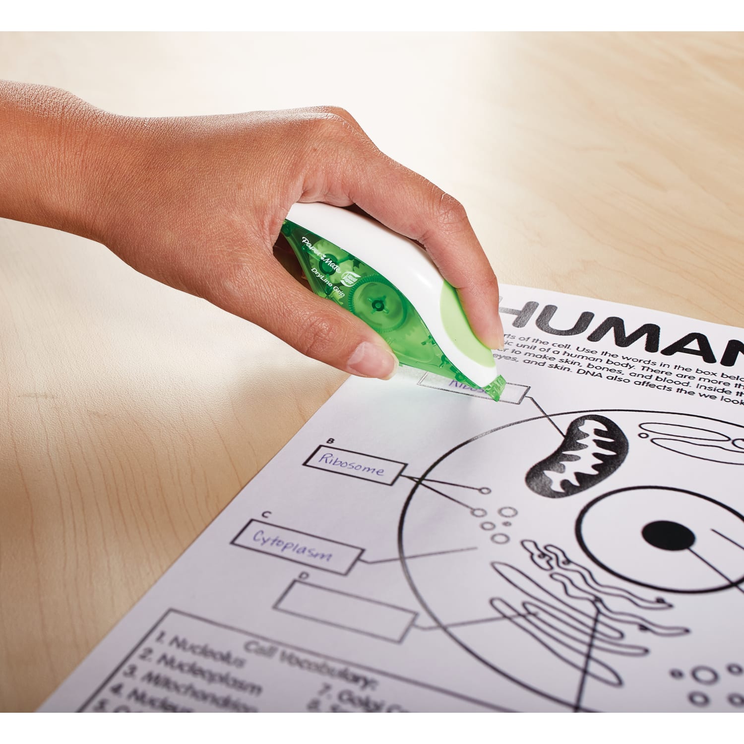 Paper Mate Liquid Paper DryLine Grip Correction Tape, 1/5in x 334 4/5in, White - Image 4