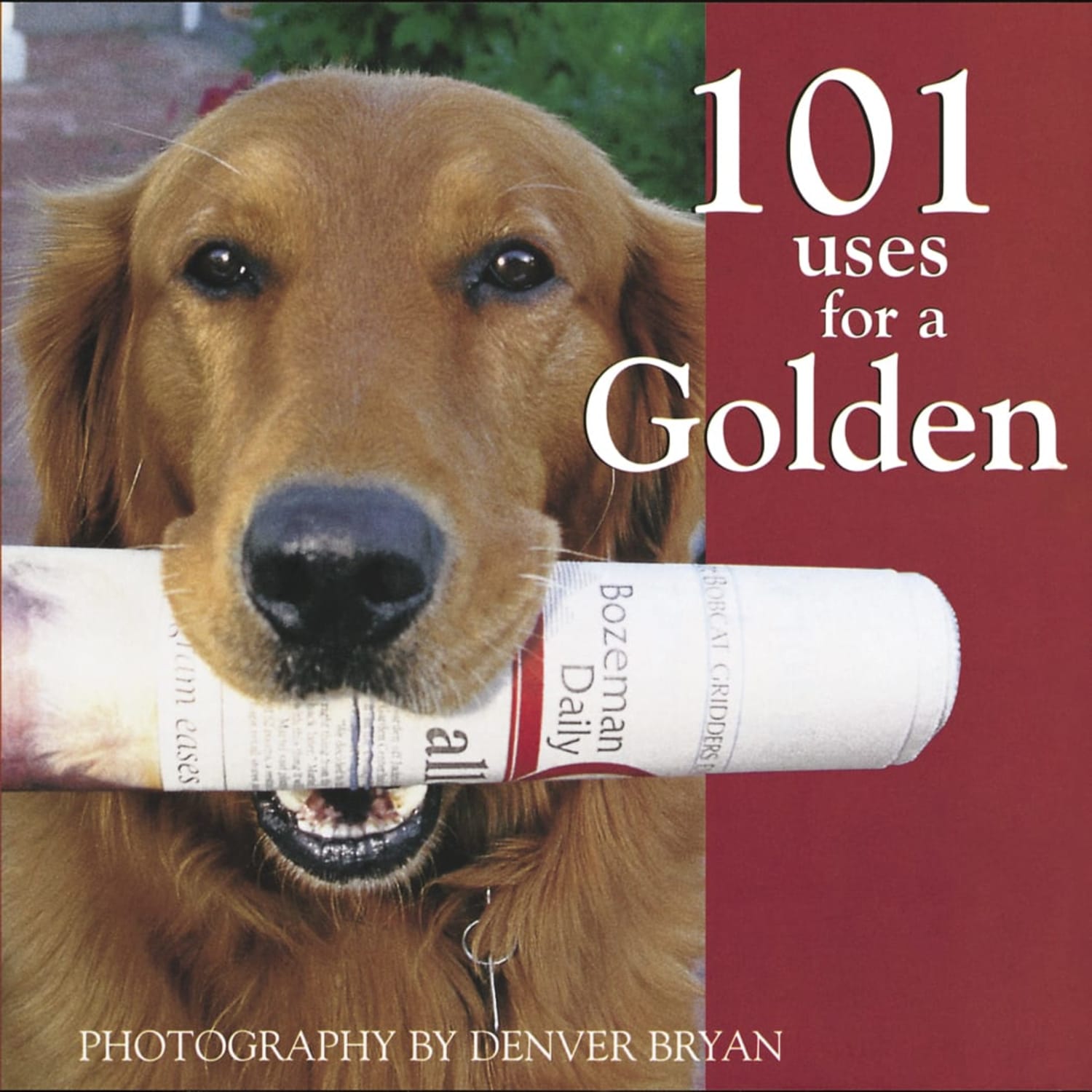 101 Uses For A Golden