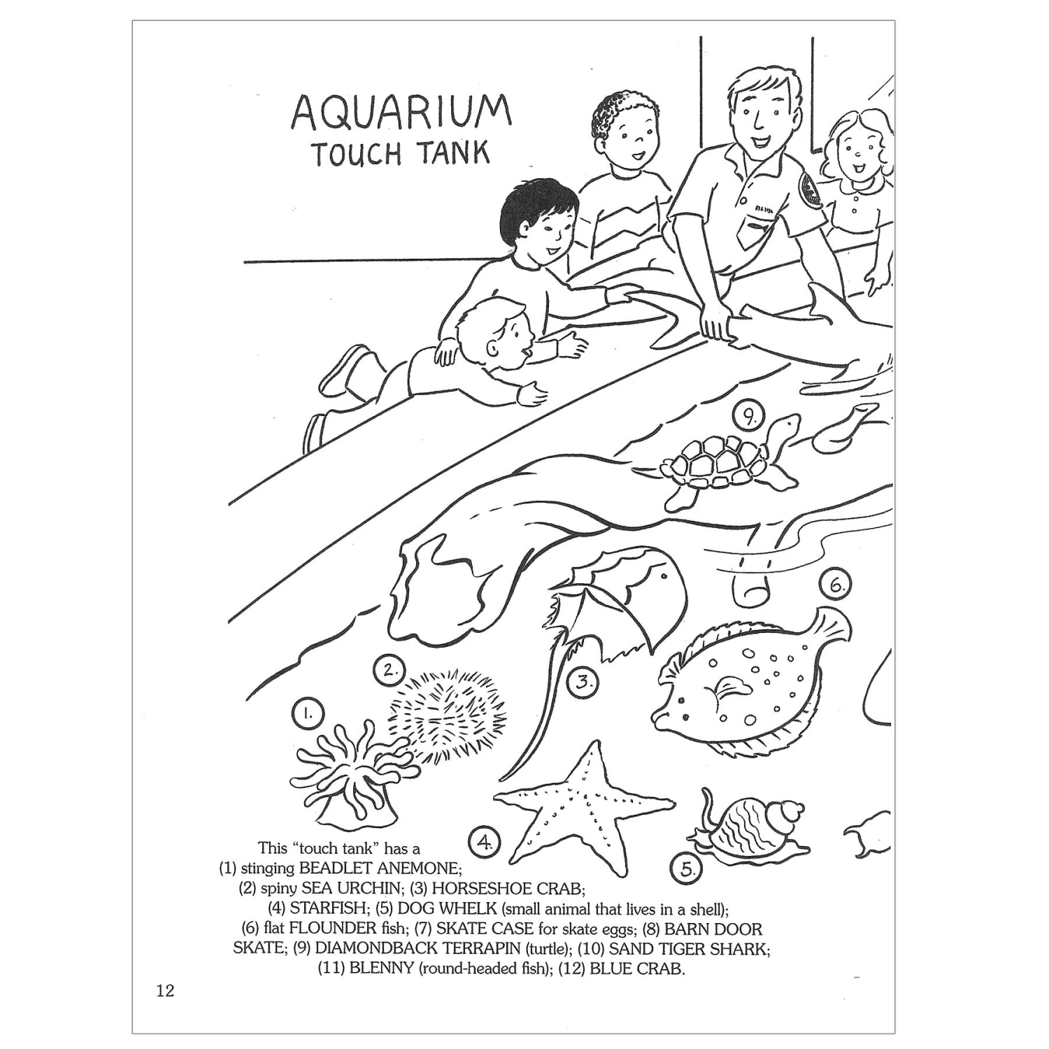 Dover Coloring Book, At The Aquarium, Pack Of 6 - Image 6