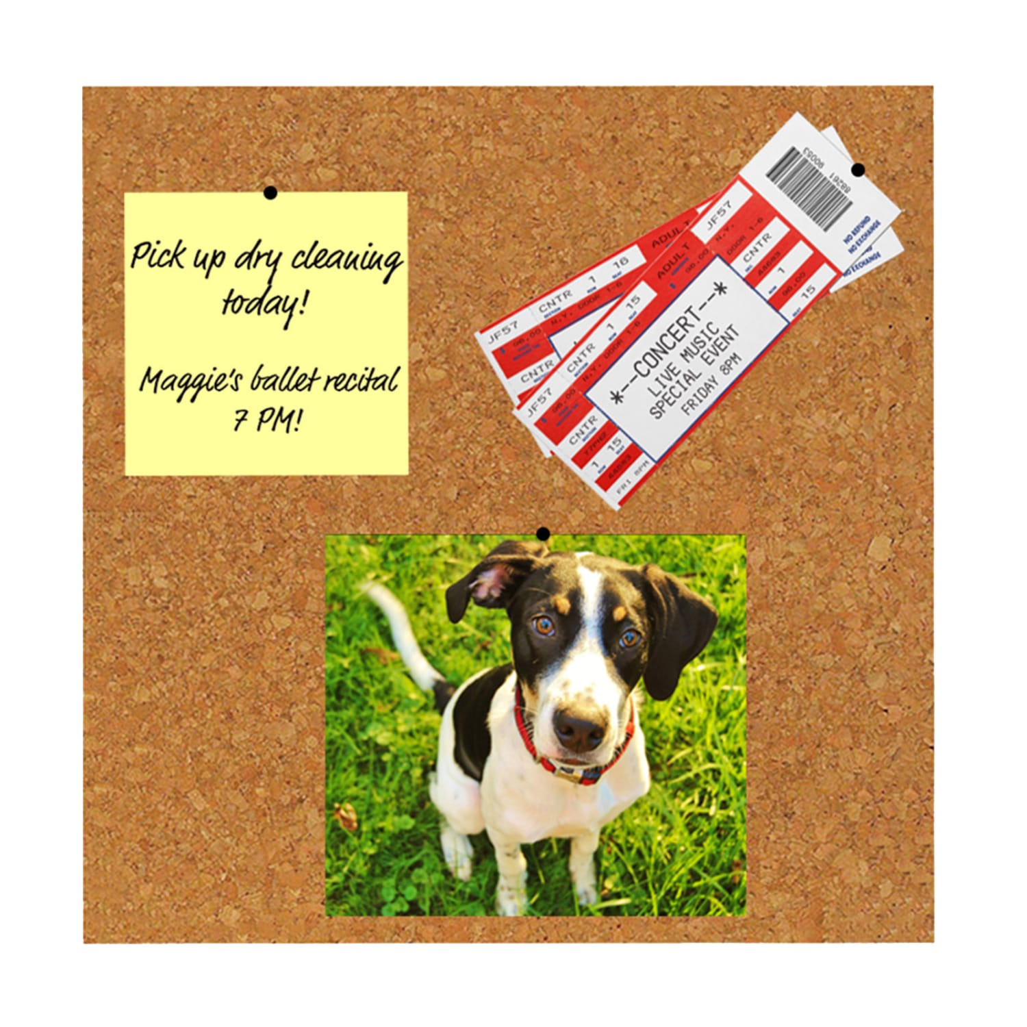 Flipside Cork Tiles, 12inH x 12inW x 1/8inD, Natural, 4 Tiles Per Pack, Set Of 2 Packs - Image 4