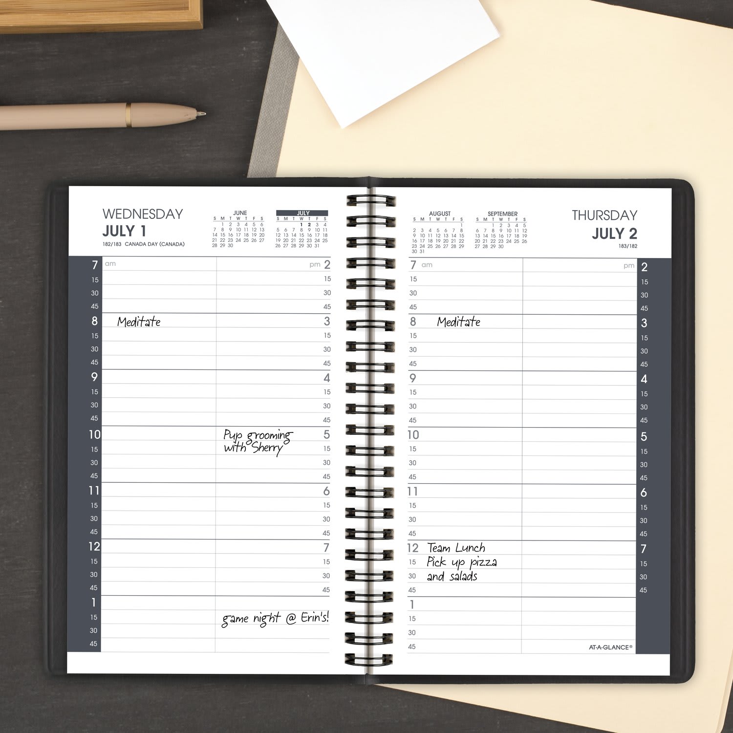 AT-A-GLANCE Academic 2026-2027 Daily Appointment Book Planner, Black, Small, 5in x 8in - Image 3