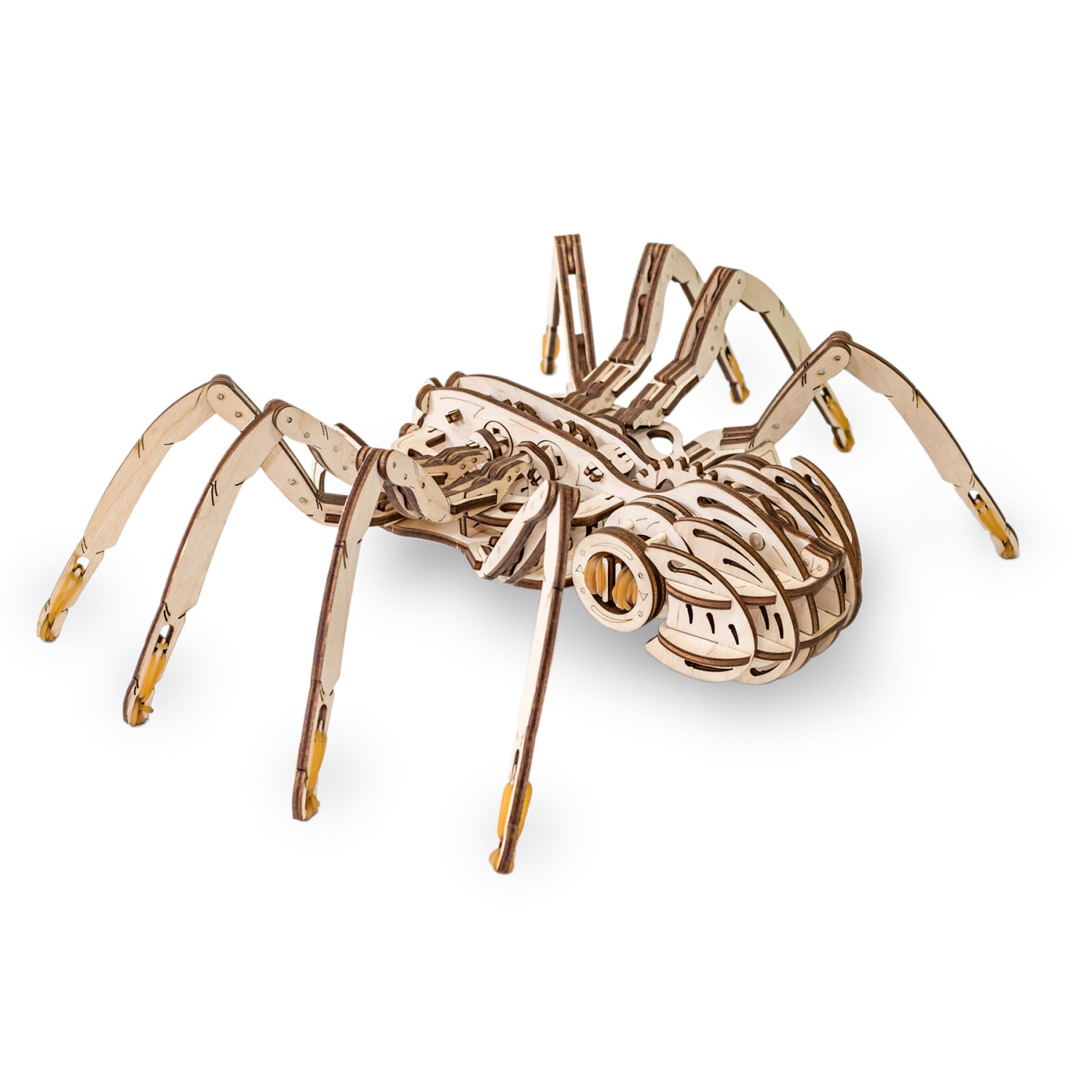EWA Eco-Wood-Art Spider 3D Wooden STEM Construction Kit - Image 4