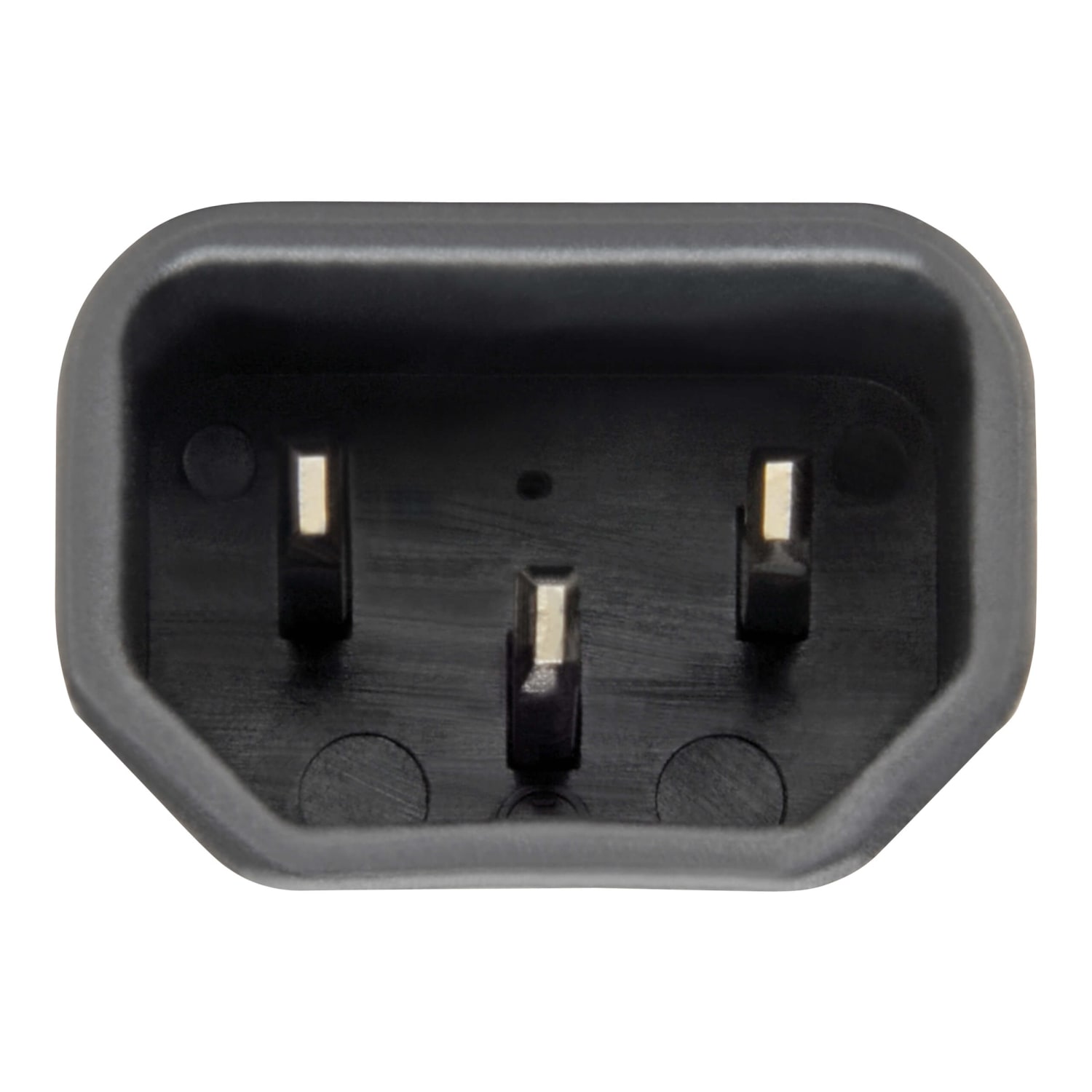 Eaton Tripp Lite Series NEMA 5-15R to C14 Power Cord Adapter - 15A, 125V, Black - 1x IEC 60320 C14 Plug - P002000