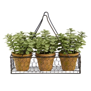 Nearly Natural Mini Jade Garden 9-1/2inH Artificial Plant, 9-1/2inH x 11inW x 4inD, Green/Brown