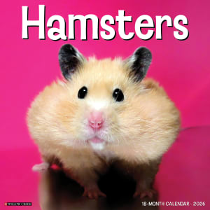 2026 Willow Creek Press Animals Monthly Wall Calendar, 12in x 12in, Hamsters, January To December, 57025