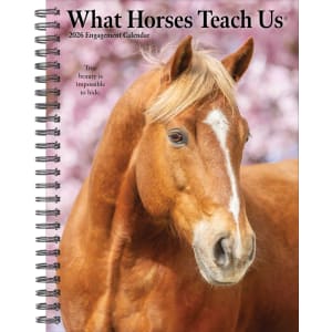 2026 Willow Creek Press Weekly Engagement Calendar, 6-1/2in x 8-1/2in, Stallion Stories, January To December, 54697
